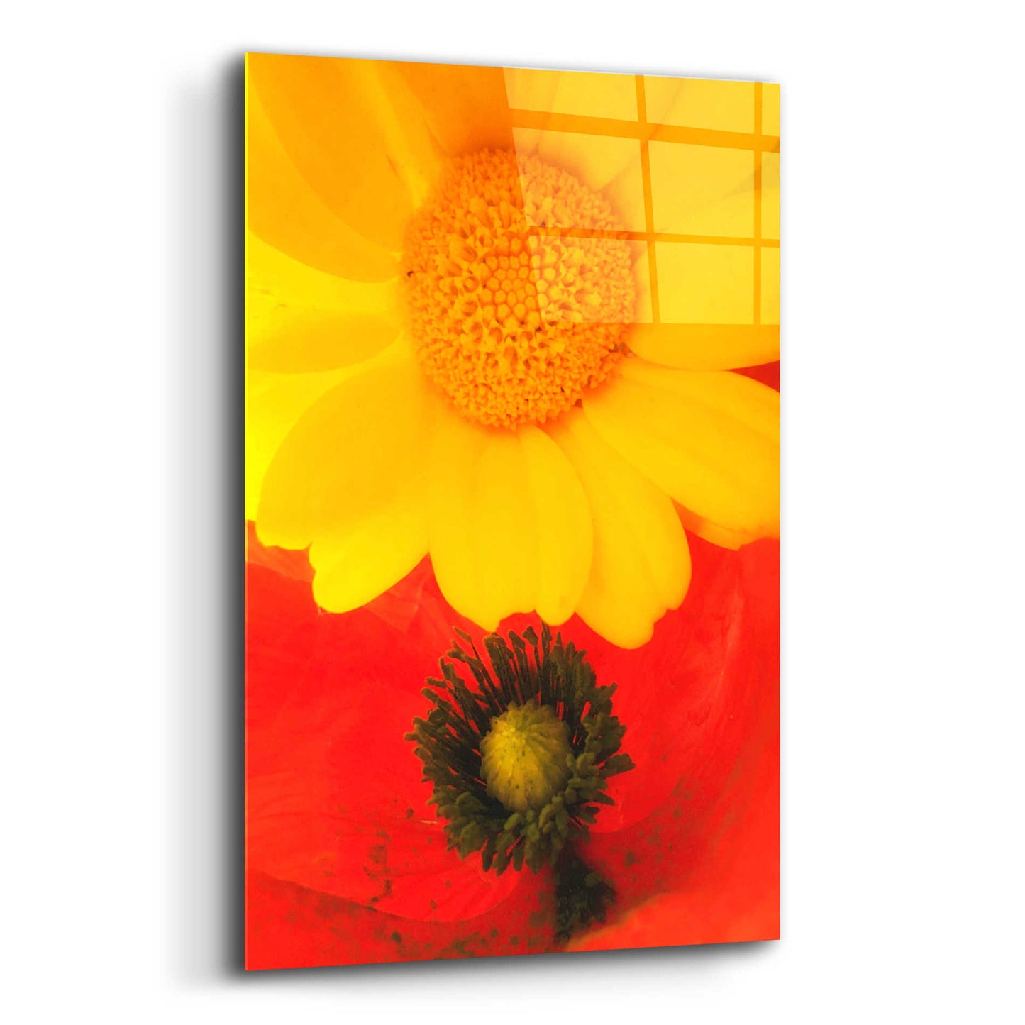 Epic Art 'Spring Love' by Cesare Bellassai, Acrylic Glass Wall Art,12x16