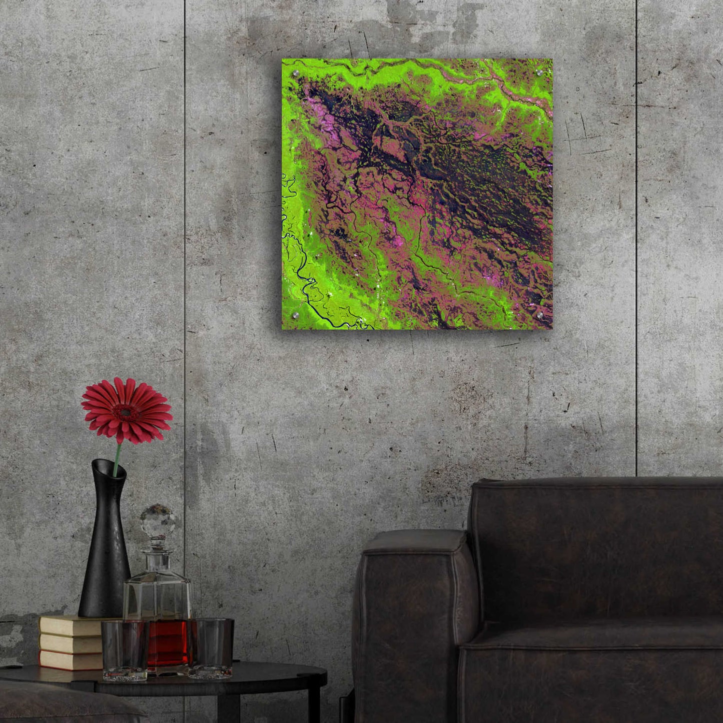 Epic Art 'Earth as Art: Demini River' Acrylic Glass Wall Art,24x24