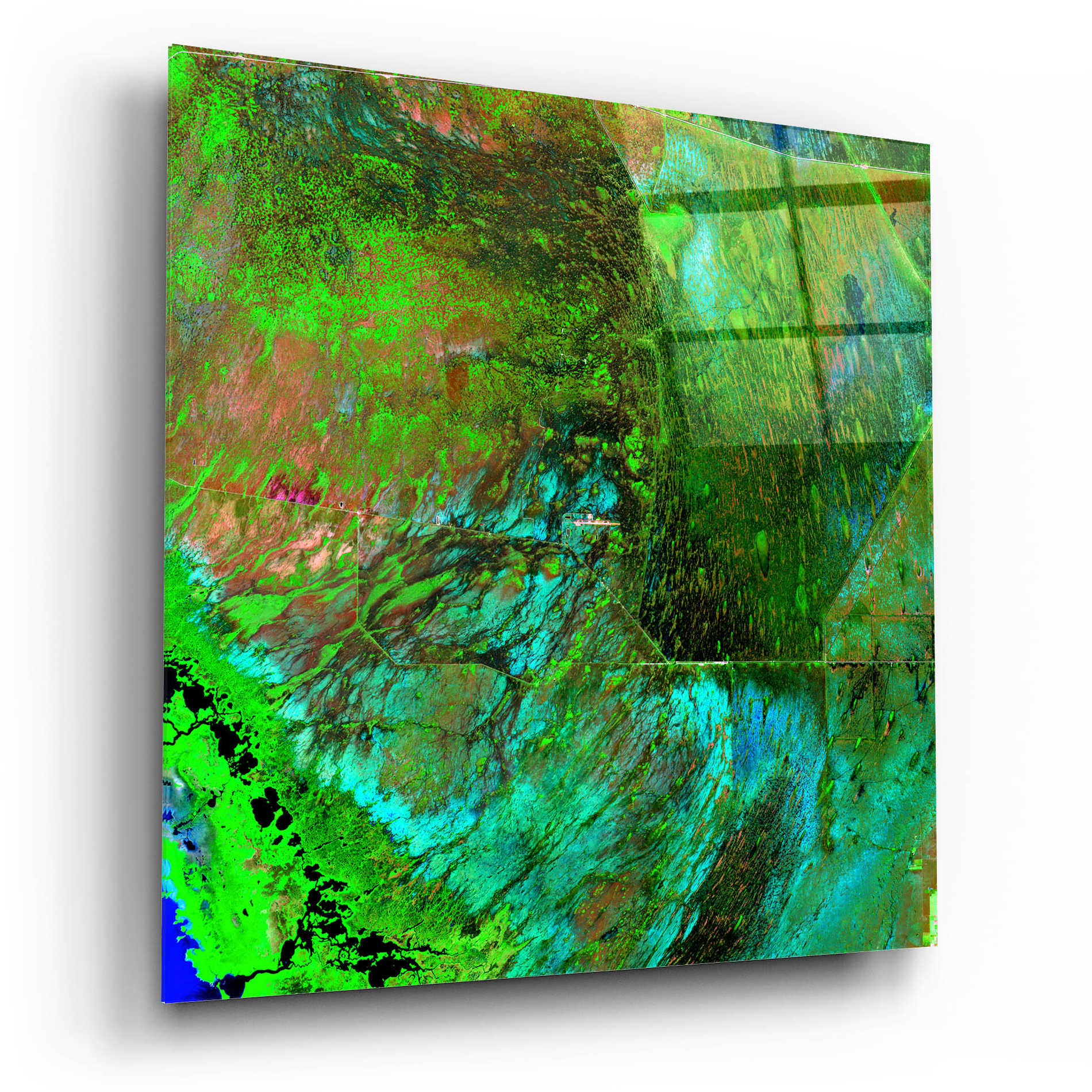 Epic Art 'Earth as Art: Everglades ' Acrylic Glass Wall Art,12x12