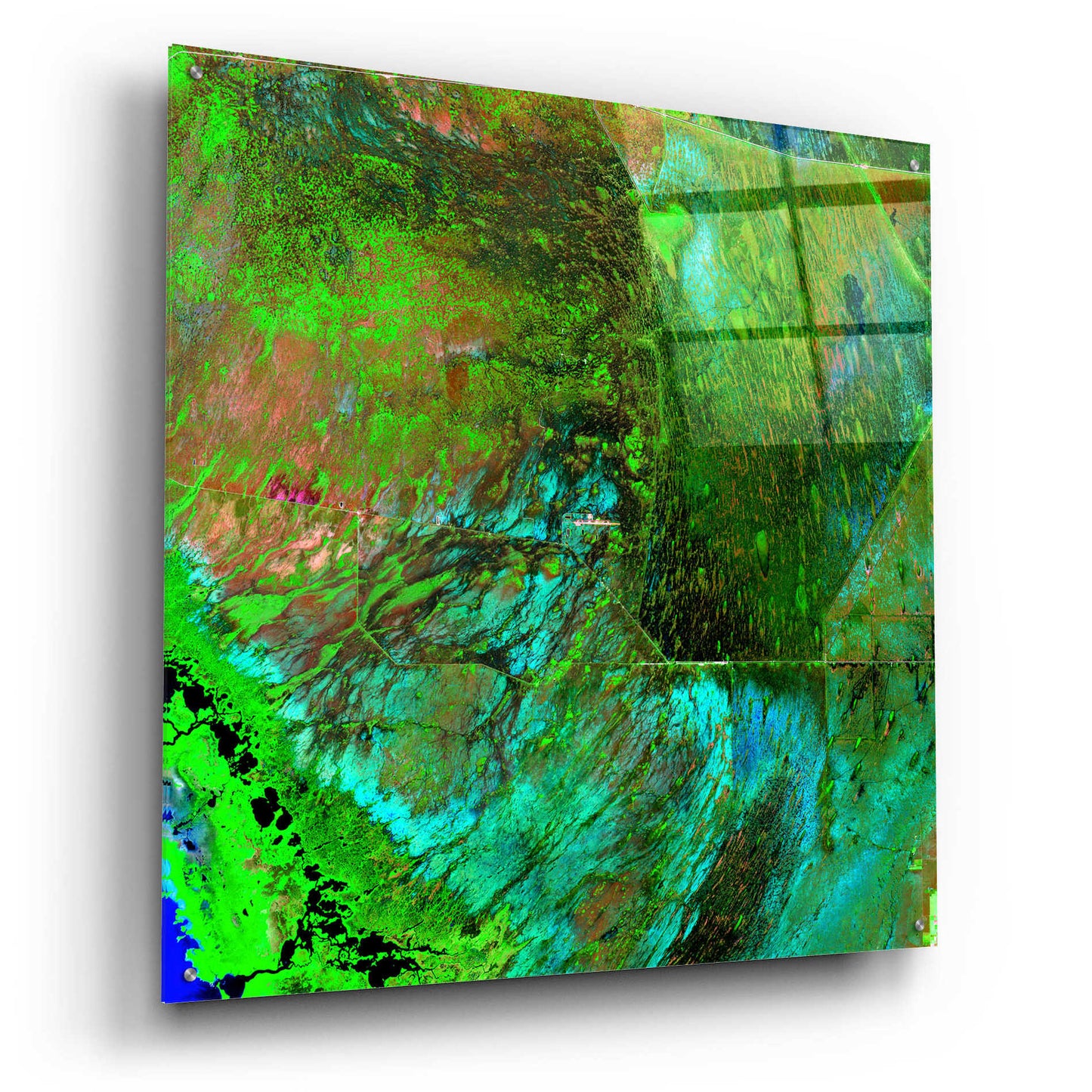 Epic Art 'Earth as Art: Everglades ' Acrylic Glass Wall Art,36x36
