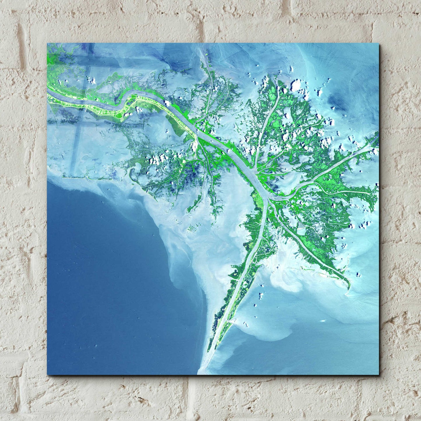 Epic Art 'Earth as Art: Mississippi River Delta' Acrylic Glass Wall Art,12x12