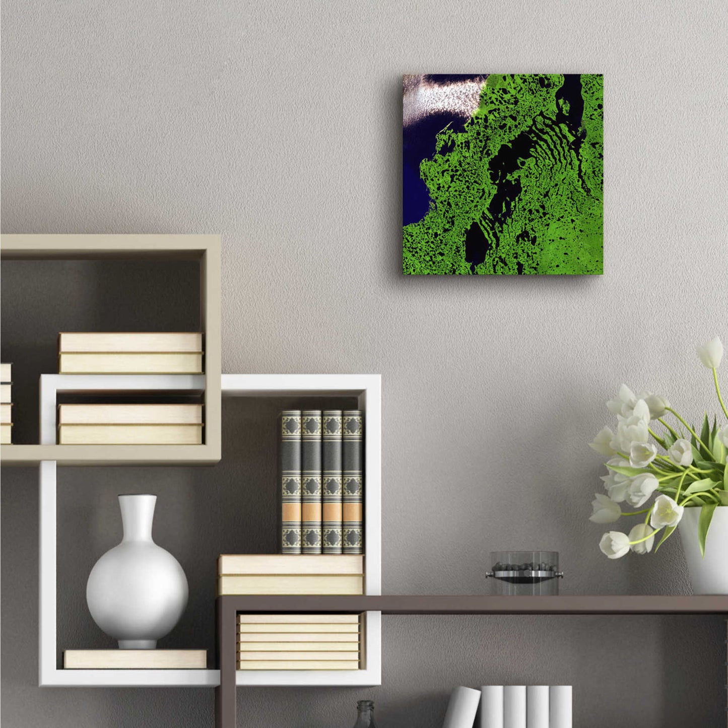 Epic Art 'Earth as Art: Remote Tundra,' Acrylic Glass Wall Art,12x12