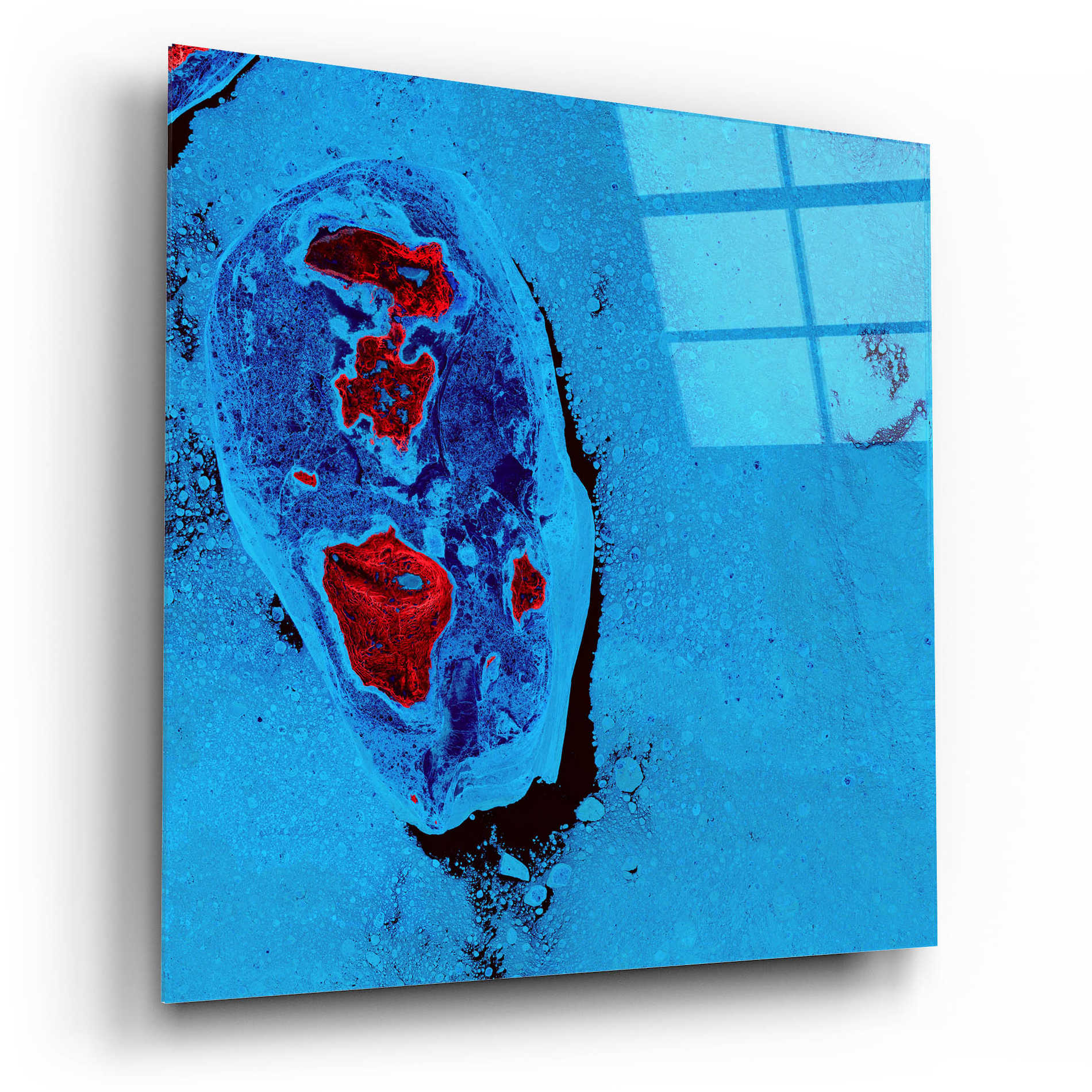 Epic Art 'Earth as Art: Cellular Ice,' Acrylic Glass Wall Art,12x12