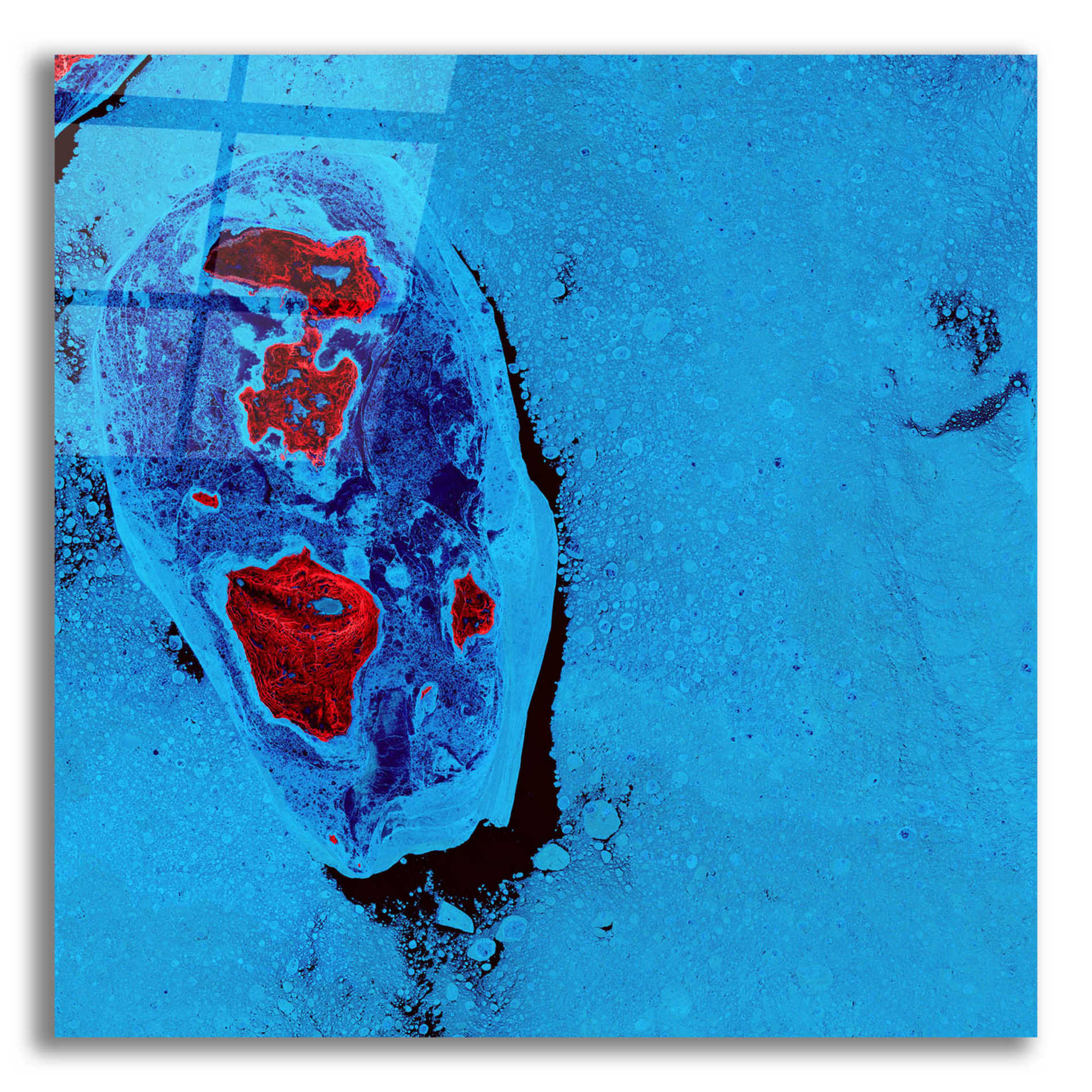 Epic Art 'Earth as Art: Cellular Ice,' Acrylic Glass Wall Art,12x12x1.1x0,18x18x1.1x0,26x26x1.74x0,37x37x1.74x0