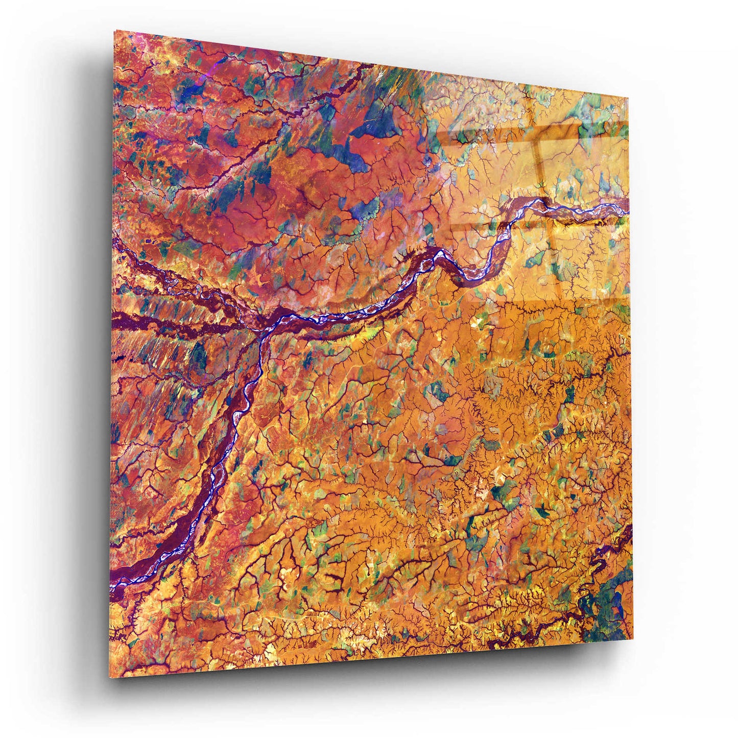 Epic Art 'Earth as Art: Capillaries,' Acrylic Glass Wall Art,12x12
