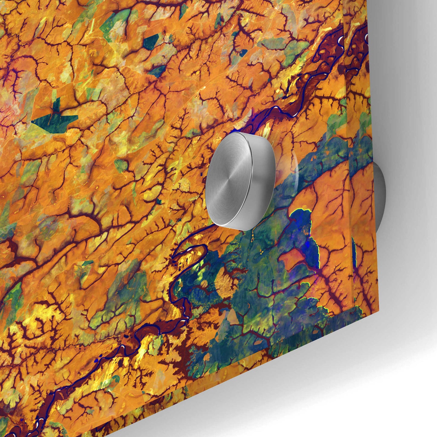 Epic Art 'Earth as Art: Capillaries,' Acrylic Glass Wall Art,24x24