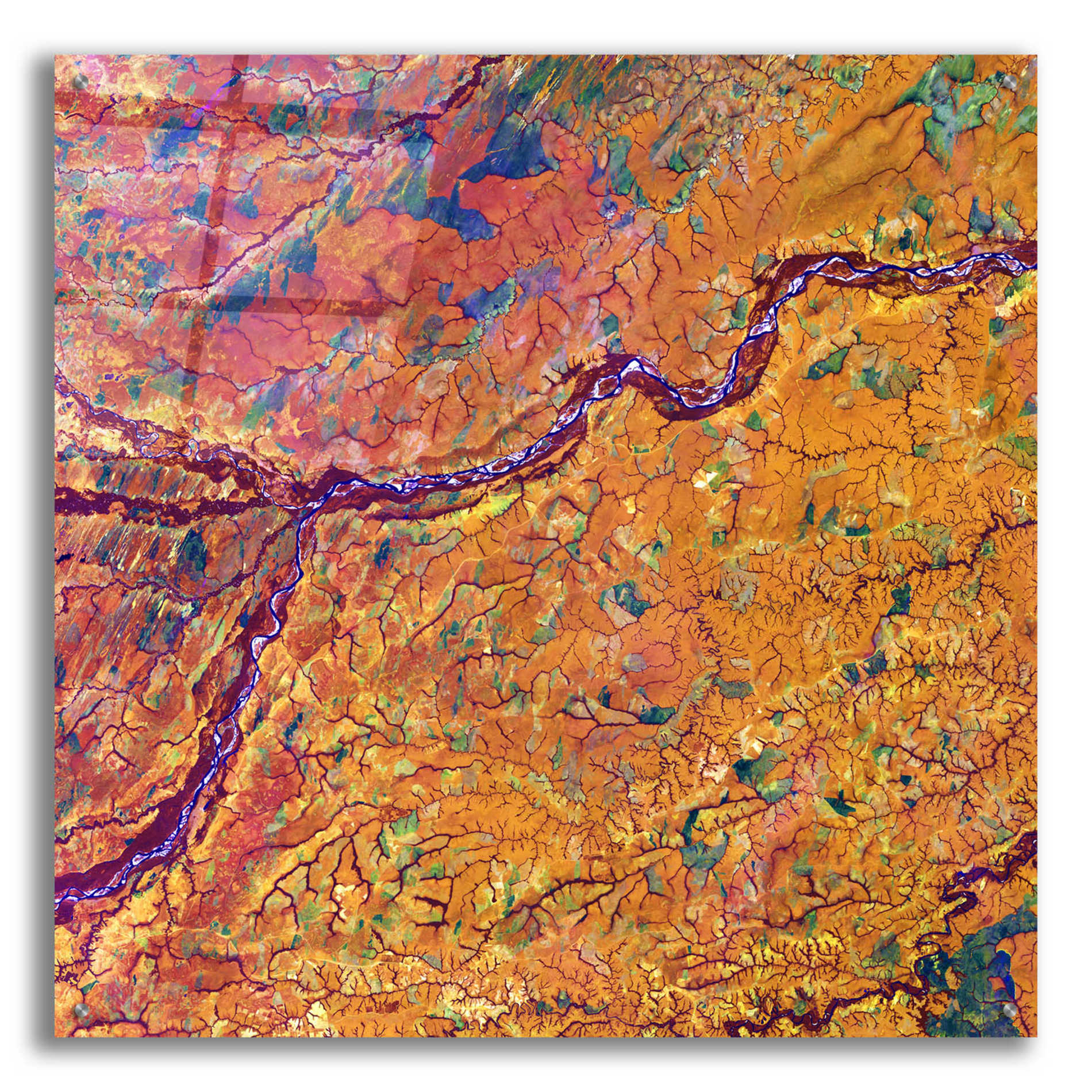 Epic Art 'Earth as Art: Capillaries,' Acrylic Glass Wall Art,36x36