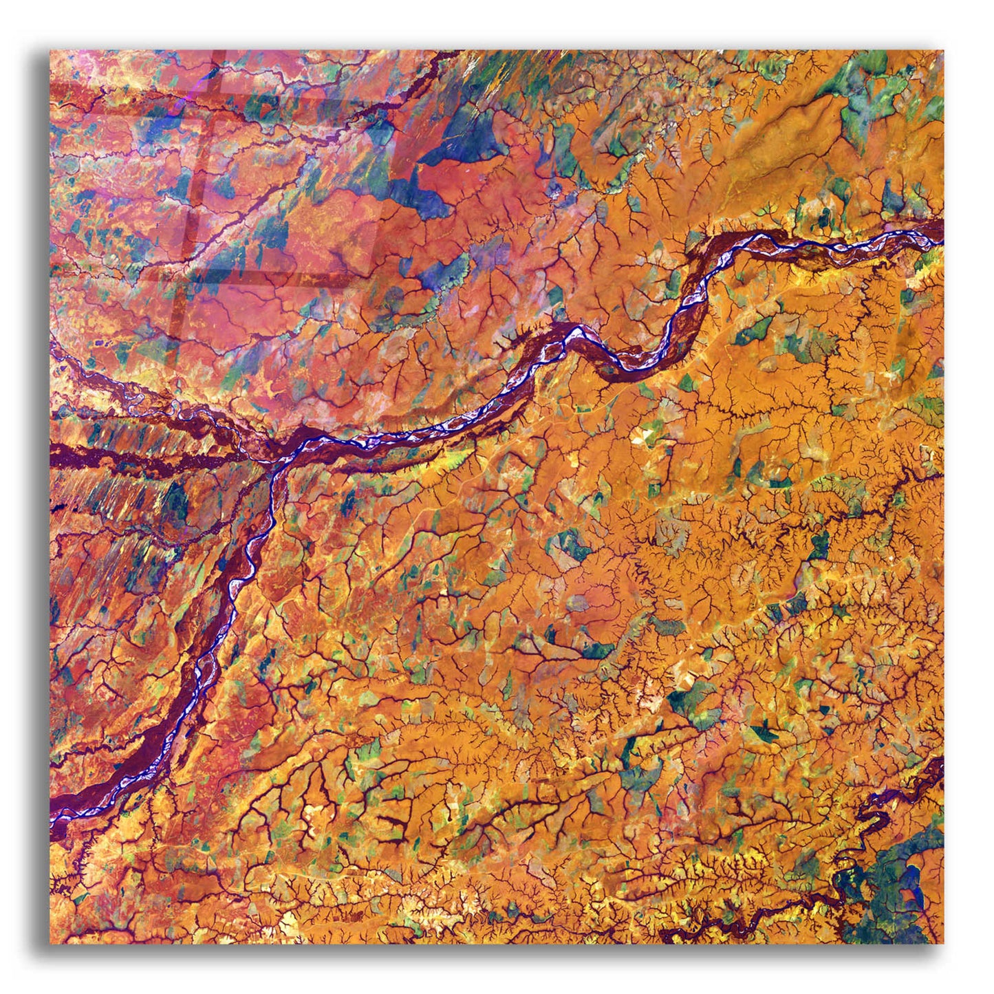 Epic Art 'Earth as Art: Capillaries,' Acrylic Glass Wall Art,12x12x1.1x0,18x18x1.1x0,26x26x1.74x0,37x37x1.74x0