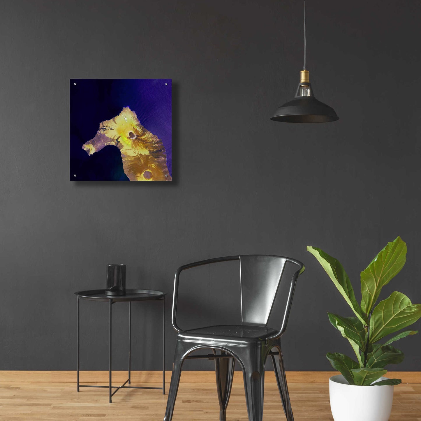 Epic Art 'Earth as Art: Painted Horse,' Acrylic Glass Wall Art,24x24