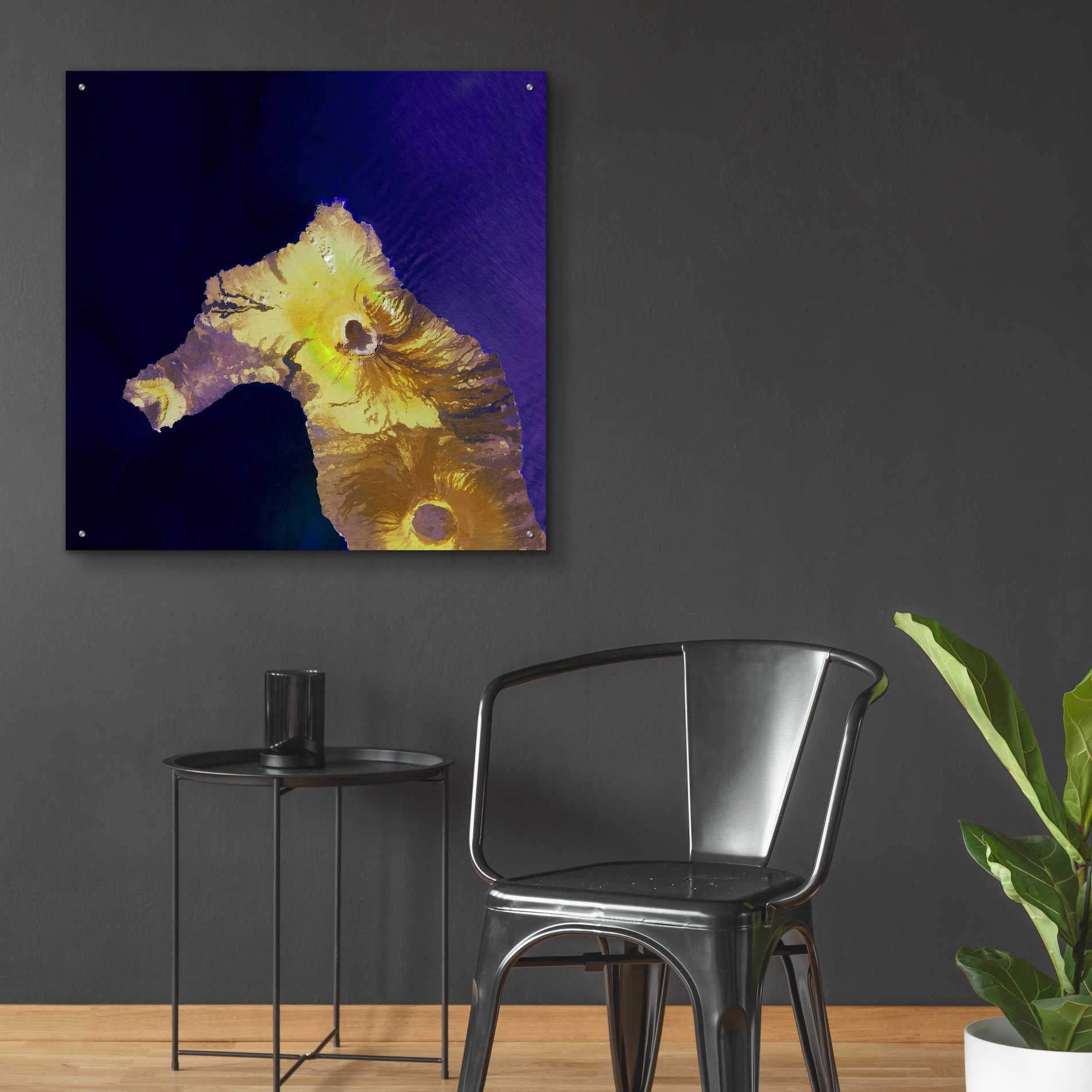 Epic Art 'Earth as Art: Painted Horse,' Acrylic Glass Wall Art,36x36