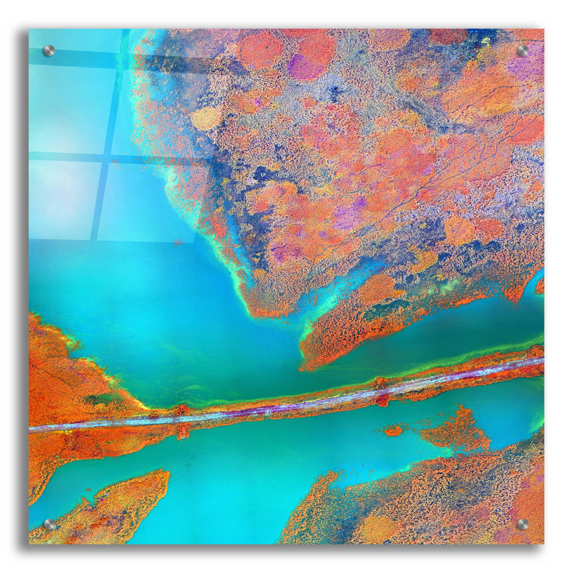 Epic Art 'Earth as Art: A Study in Algae,' Acrylic Glass Wall Art,24x24