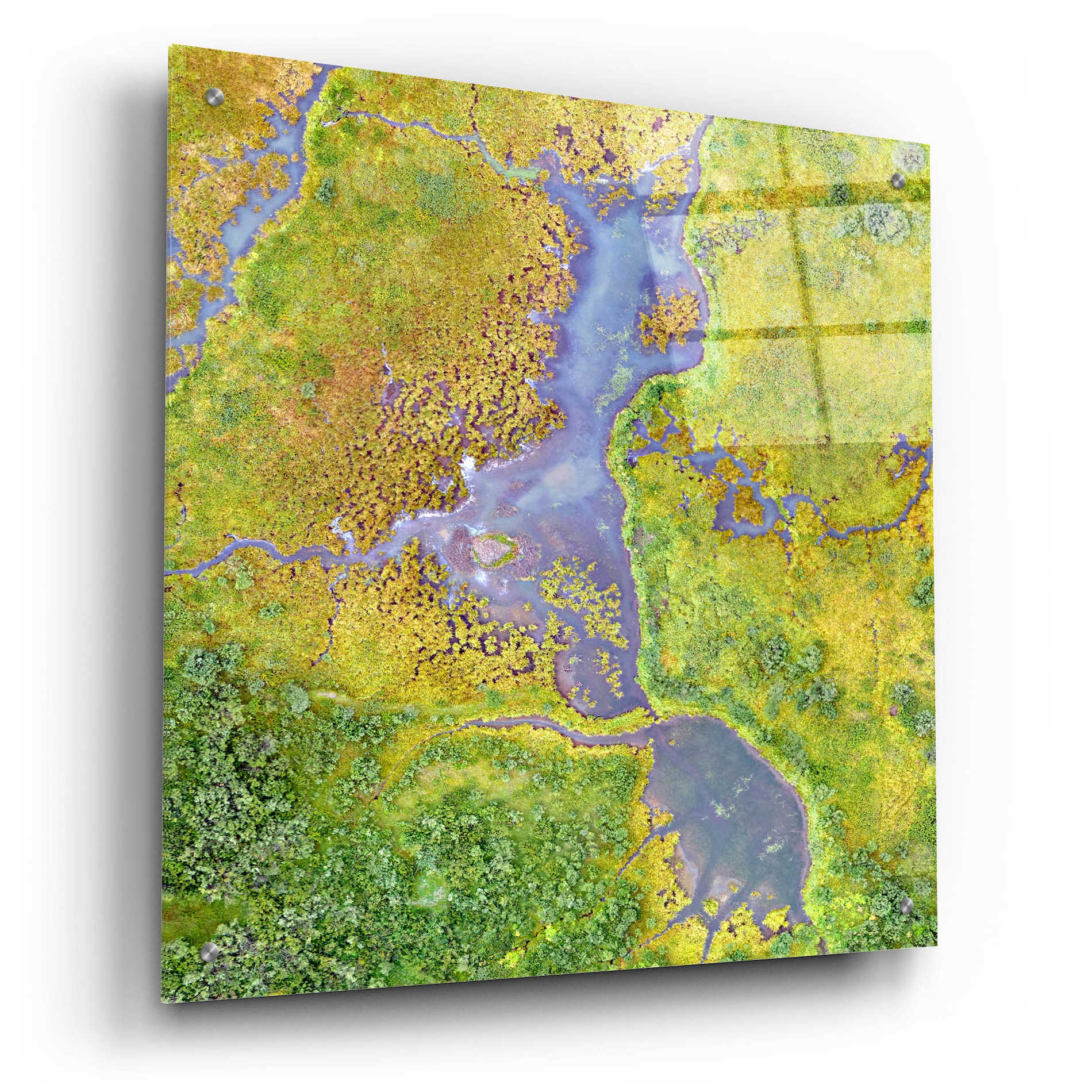 Epic Art 'Earth as Art: Watching Wetlands,' Acrylic Glass Wall Art,24x24
