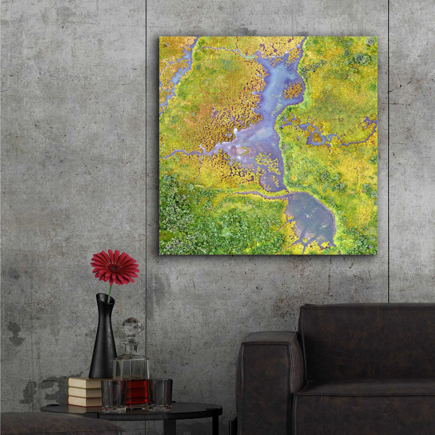 Epic Art 'Earth as Art: Watching Wetlands,' Acrylic Glass Wall Art,36x36