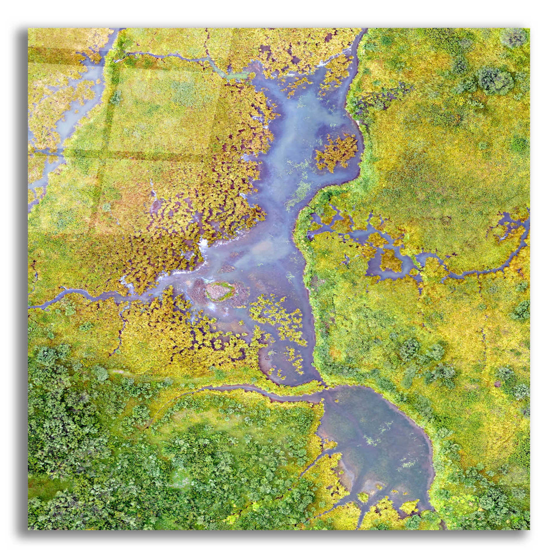 Epic Art 'Earth as Art: Watching Wetlands,' Acrylic Glass Wall Art,12x12x1.1x0,18x18x1.1x0,26x26x1.74x0,37x37x1.74x0