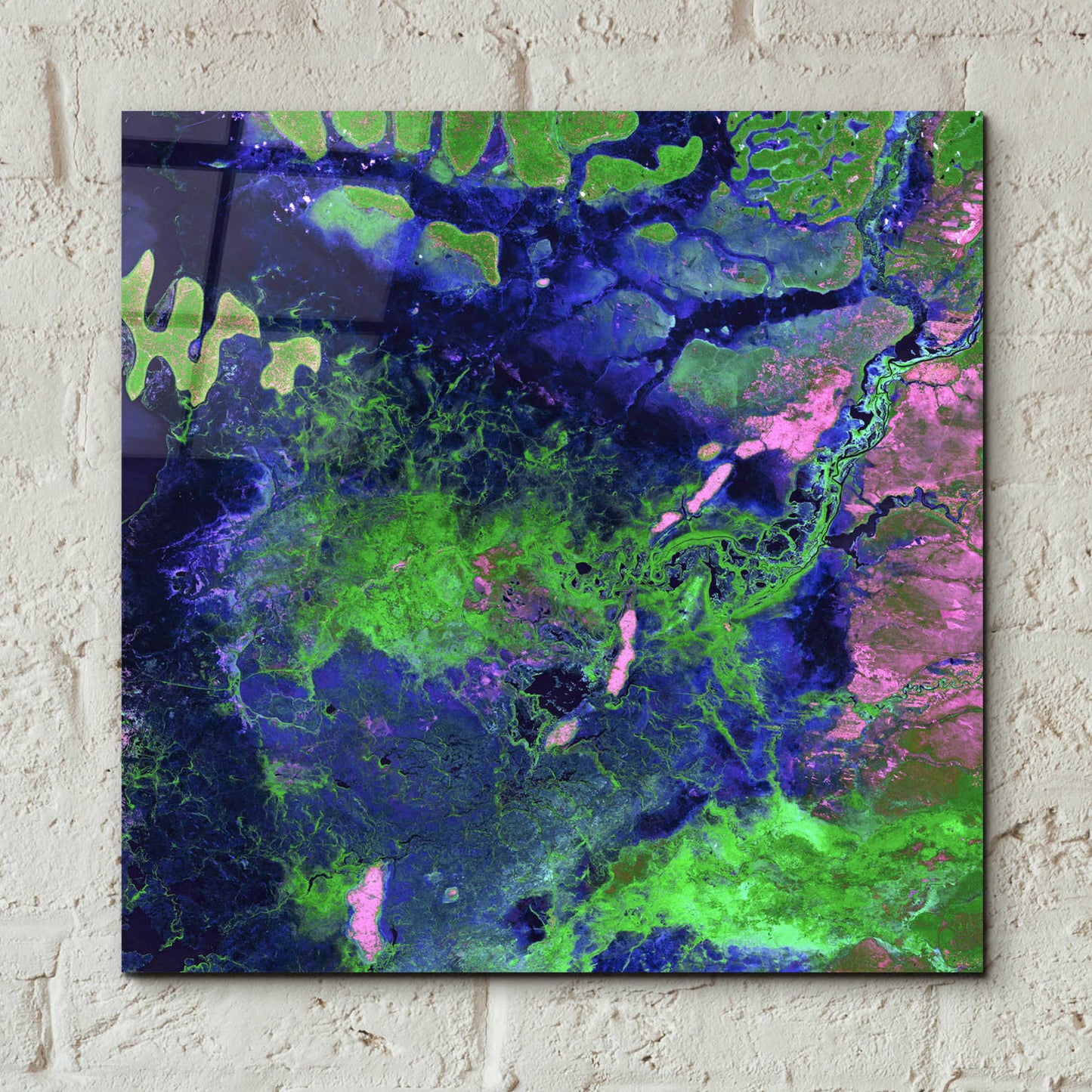 Epic Art 'Earth as Art: Wondrous Wetlands,' Acrylic Glass Wall Art,12x12