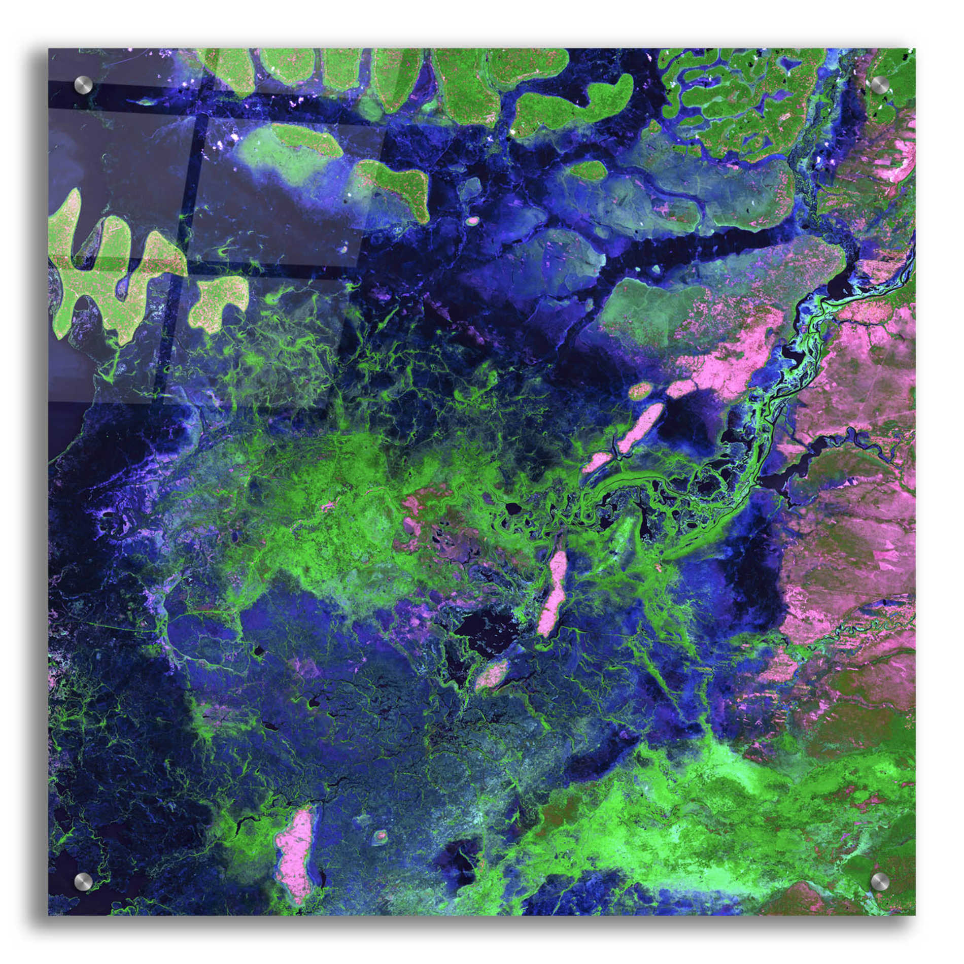Epic Art 'Earth as Art: Wondrous Wetlands,' Acrylic Glass Wall Art,24x24