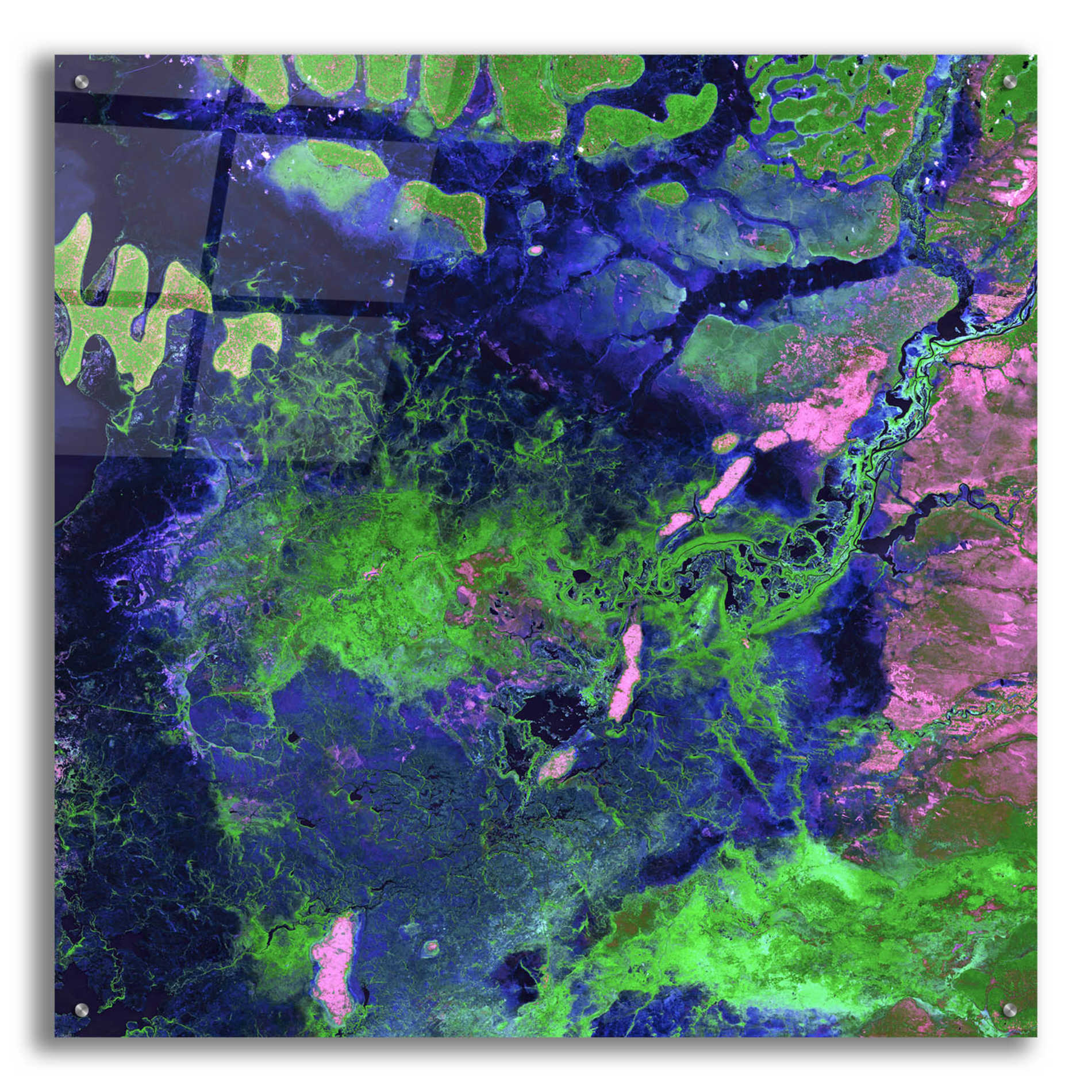 Epic Art 'Earth as Art: Wondrous Wetlands,' Acrylic Glass Wall Art,36x36