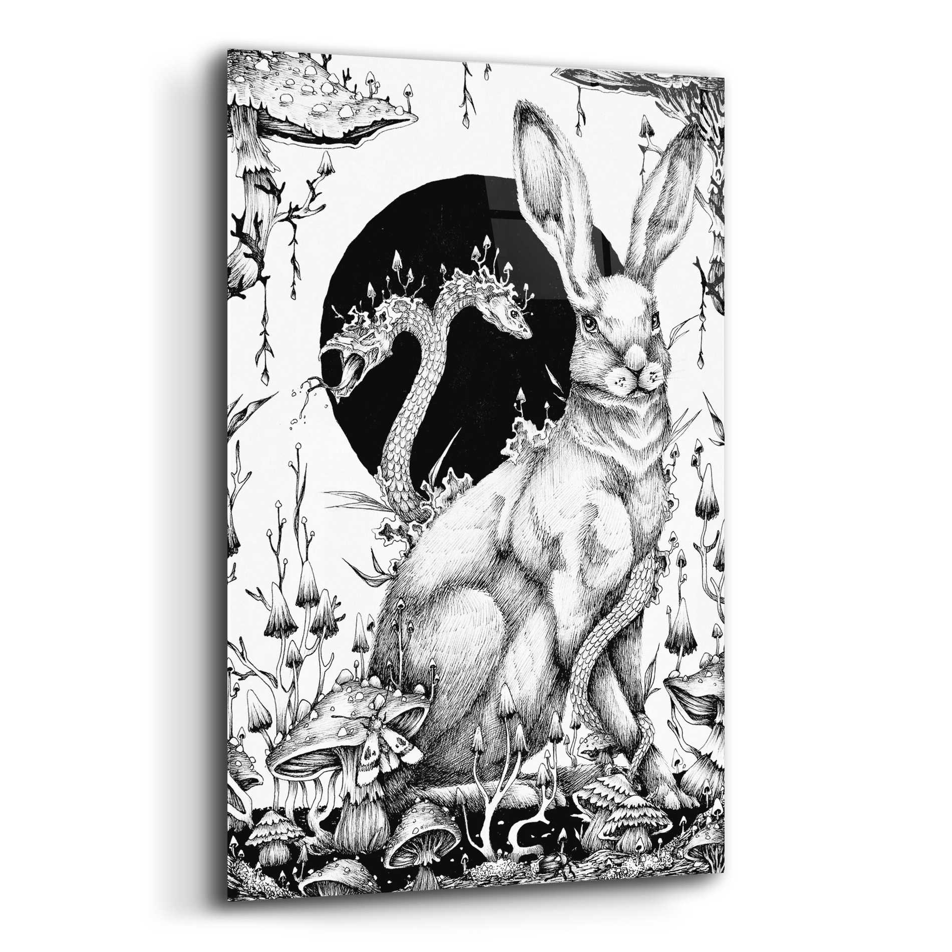 Epic Art 'Hare 2' by Avery Multer, Acrylic Glass Wall Art,12x16