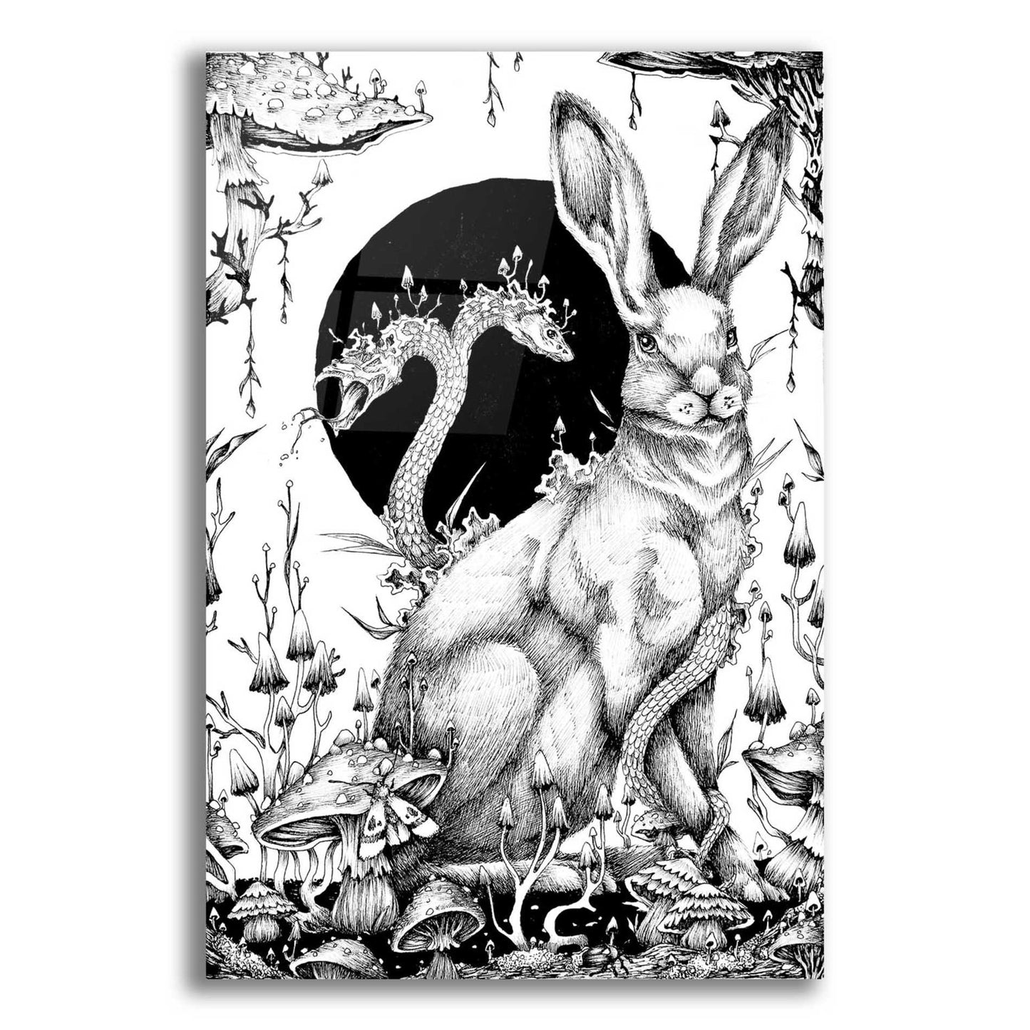 Epic Art 'Hare 2' by Avery Multer, Acrylic Glass Wall Art,16x24