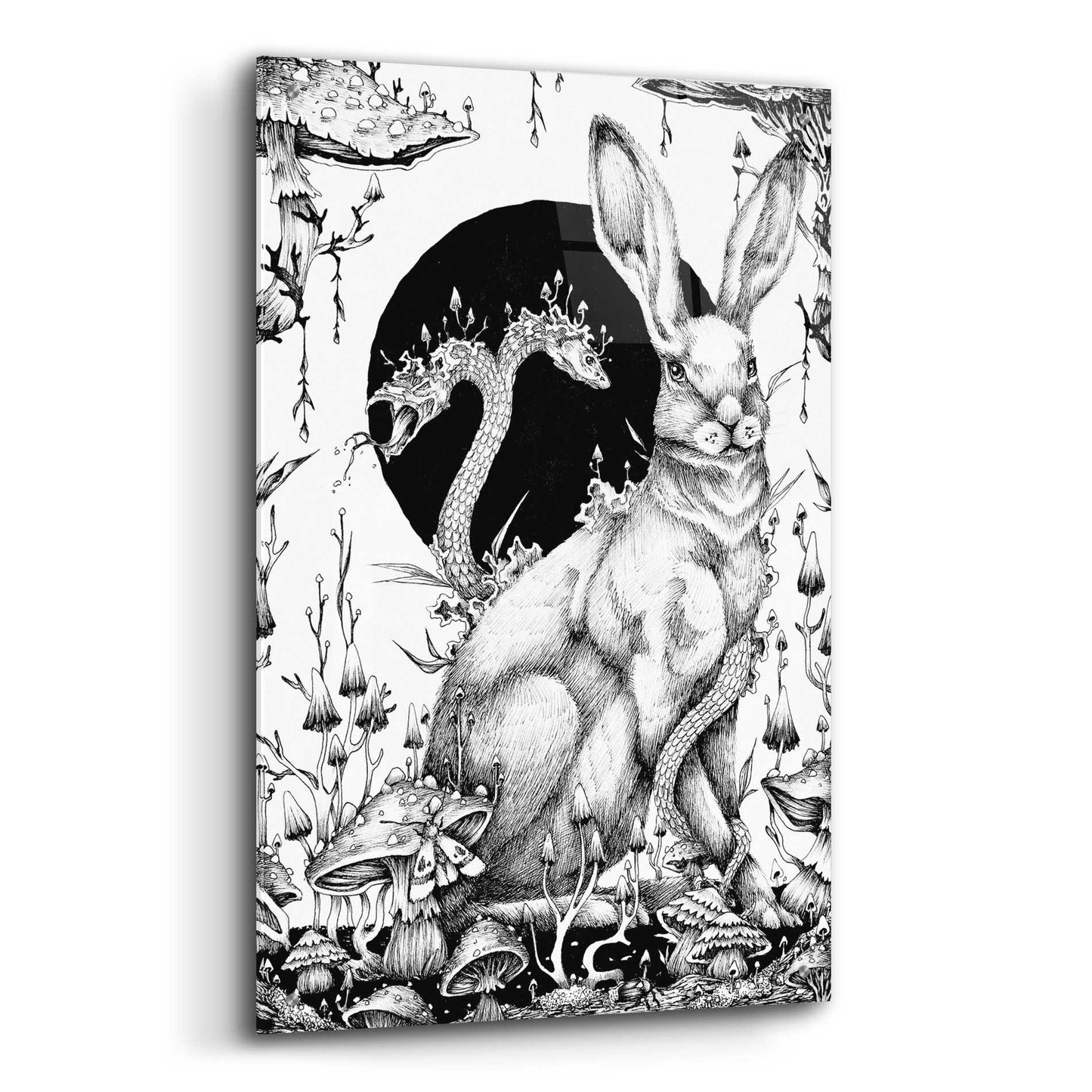 Epic Art 'Hare 2' by Avery Multer, Acrylic Glass Wall Art,24x36