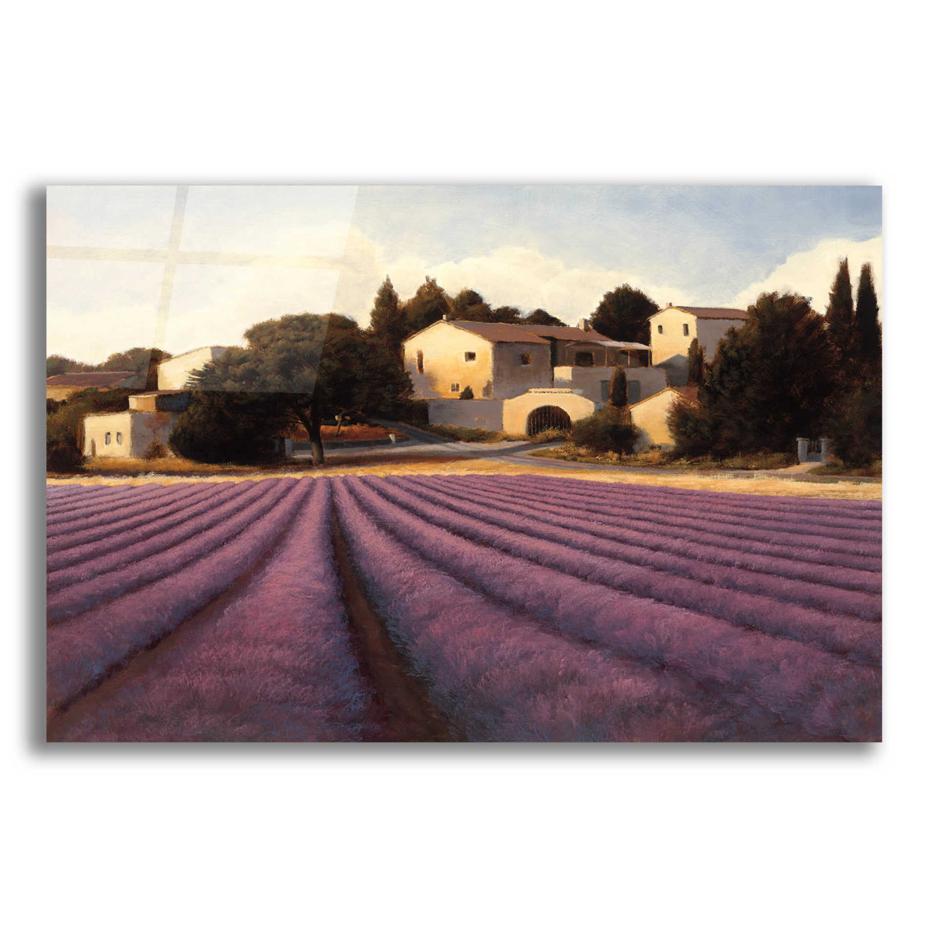 Epic Art 'Lavender Fields I' by James Wiens, Acrylic Glass Wall Art,16x12