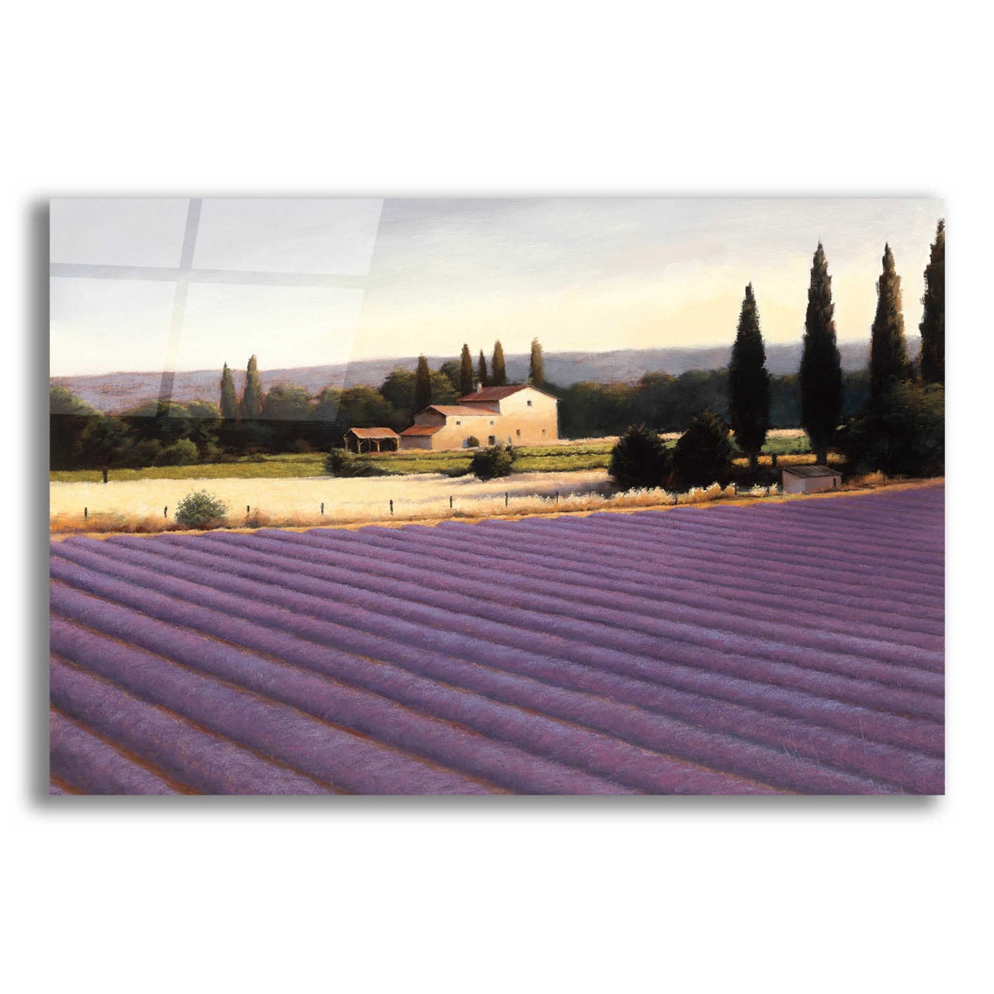 Epic Art 'Lavender Fields II' by James Wiens, Acrylic Glass Wall Art,16x12