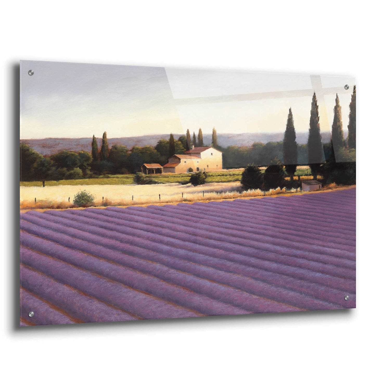 Epic Art 'Lavender Fields II' by James Wiens, Acrylic Glass Wall Art,36x24