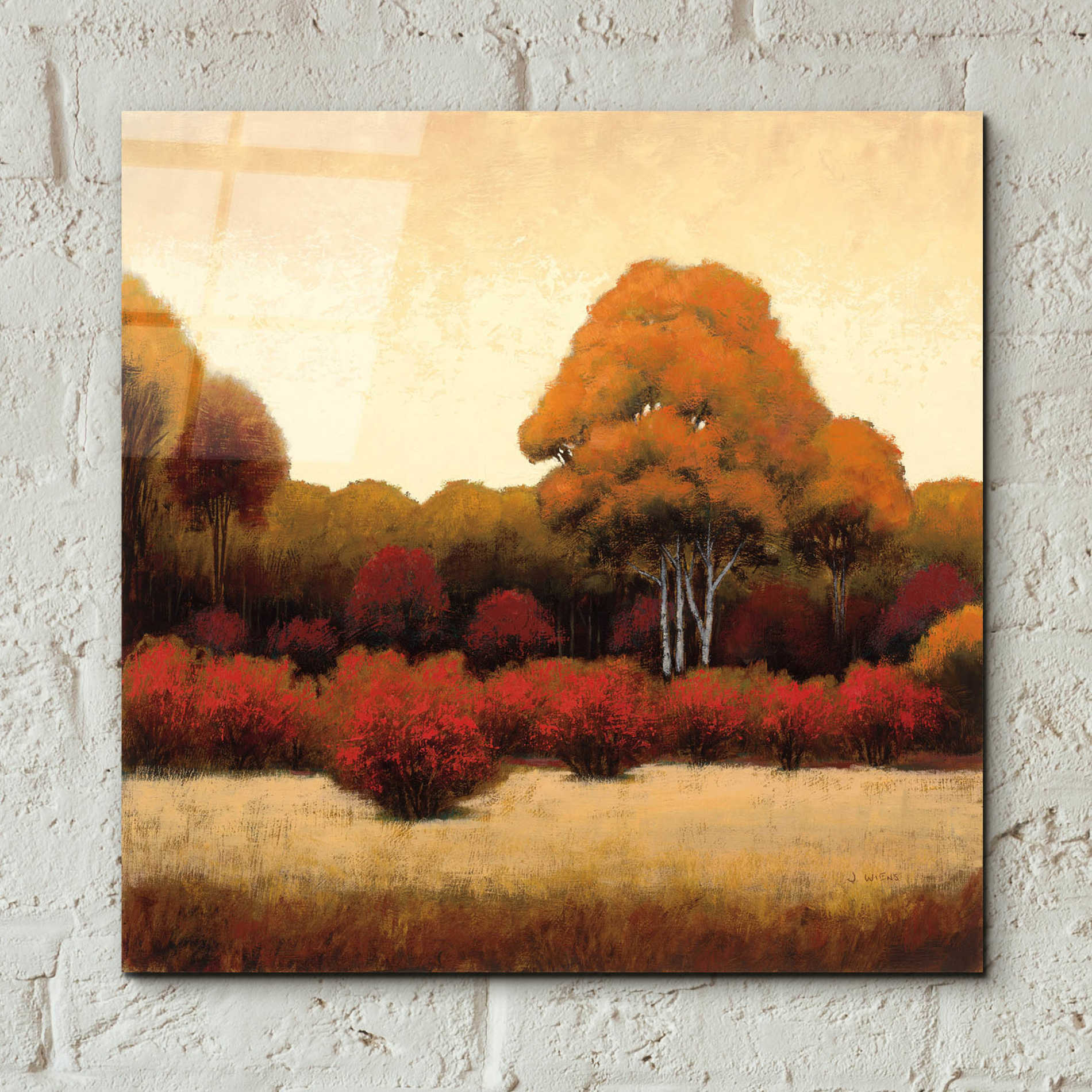 Epic Art 'Autumn Forest I' by James Wiens, Acrylic Glass Wall Art,12x12