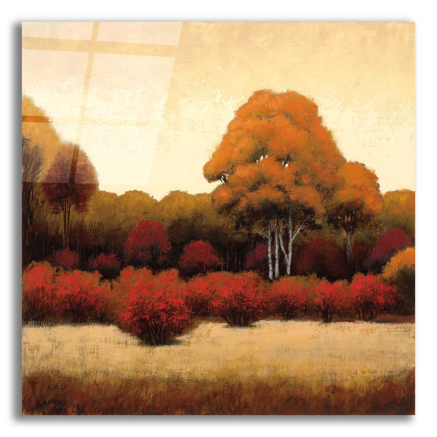 Epic Art 'Autumn Forest I' by James Wiens, Acrylic Glass Wall Art,12x12x1.1x0,18x18x1.1x0,26x26x1.74x0,37x37x1.74x0