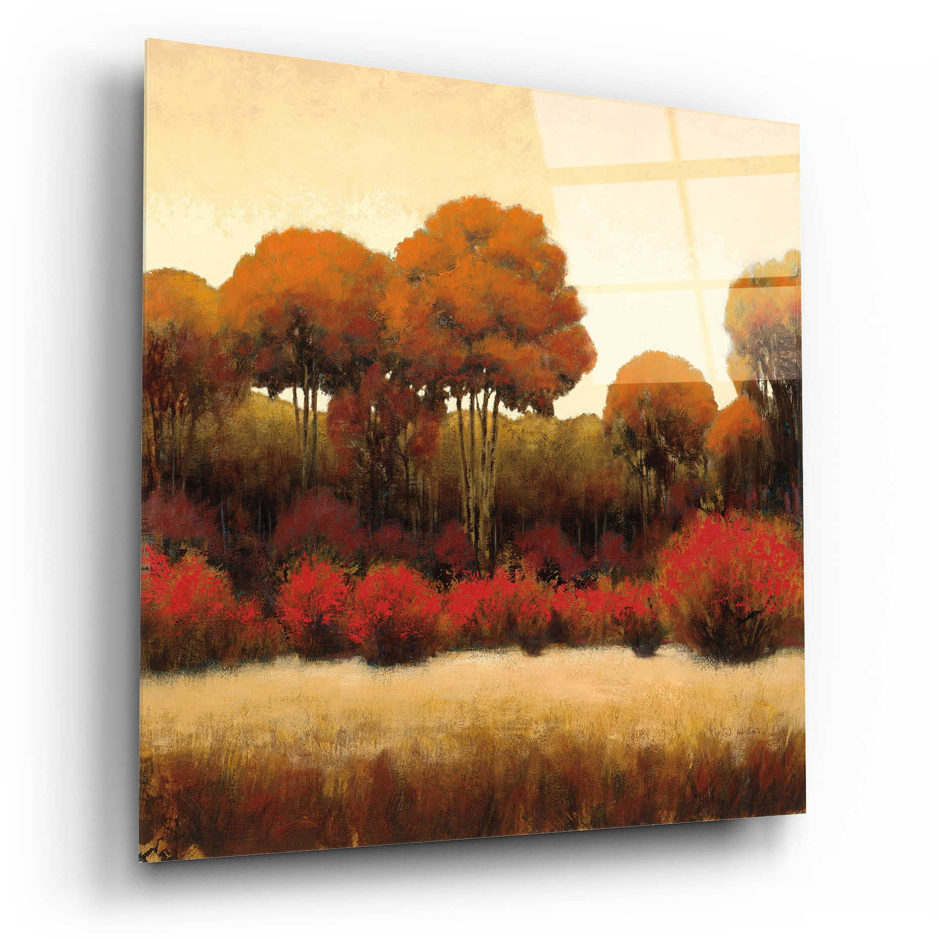Epic Art 'Autumn Forest II' by James Wiens, Acrylic Glass Wall Art,12x12