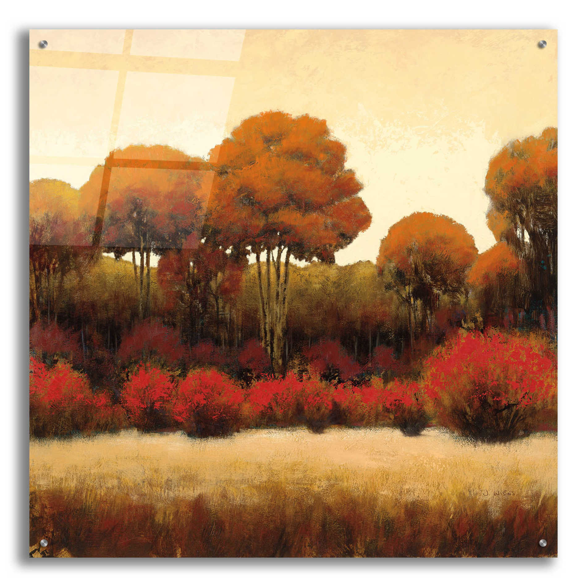 Epic Art 'Autumn Forest II' by James Wiens, Acrylic Glass Wall Art,36x36