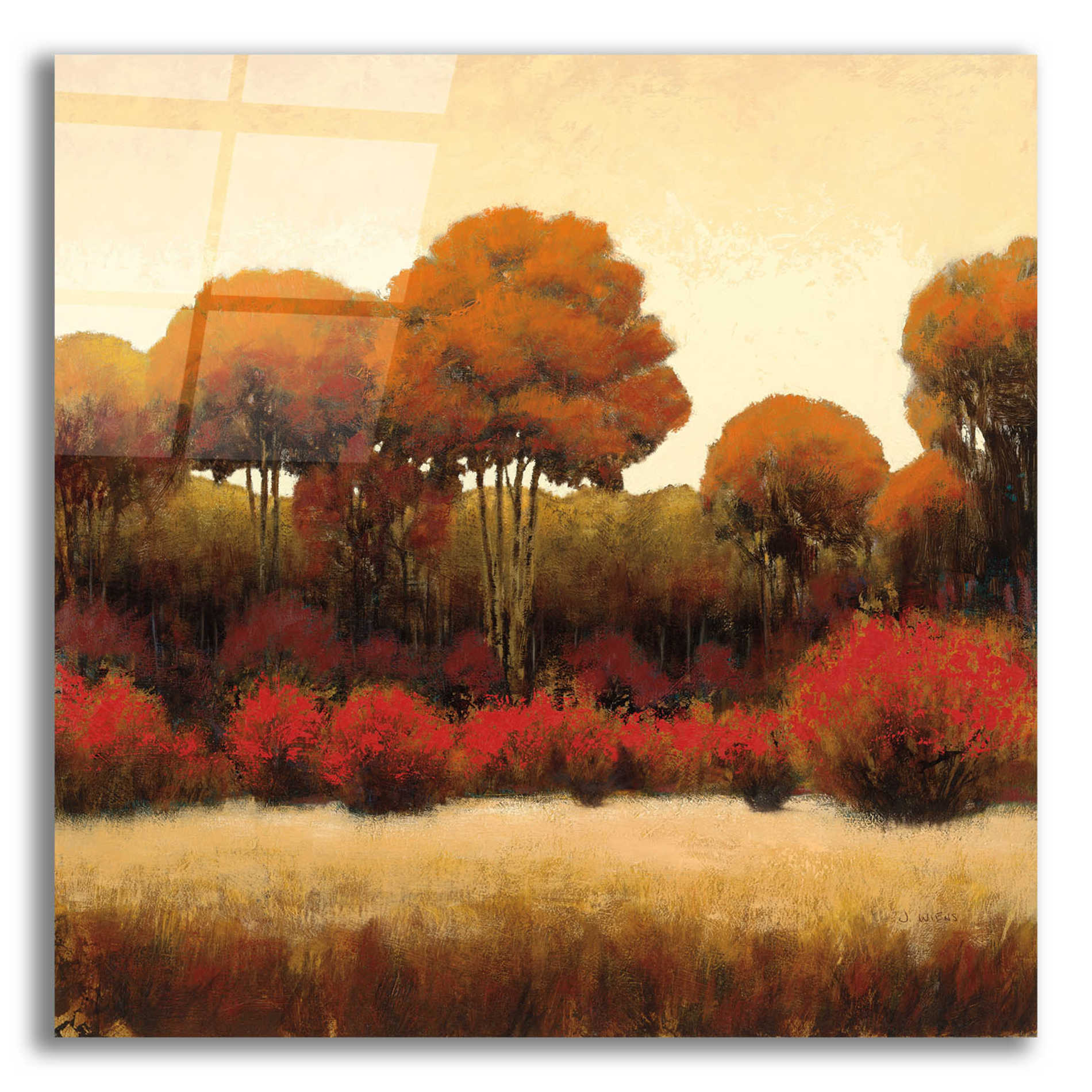 Epic Art 'Autumn Forest II' by James Wiens, Acrylic Glass Wall Art,12x12x1.1x0,18x18x1.1x0,26x26x1.74x0,37x37x1.74x0