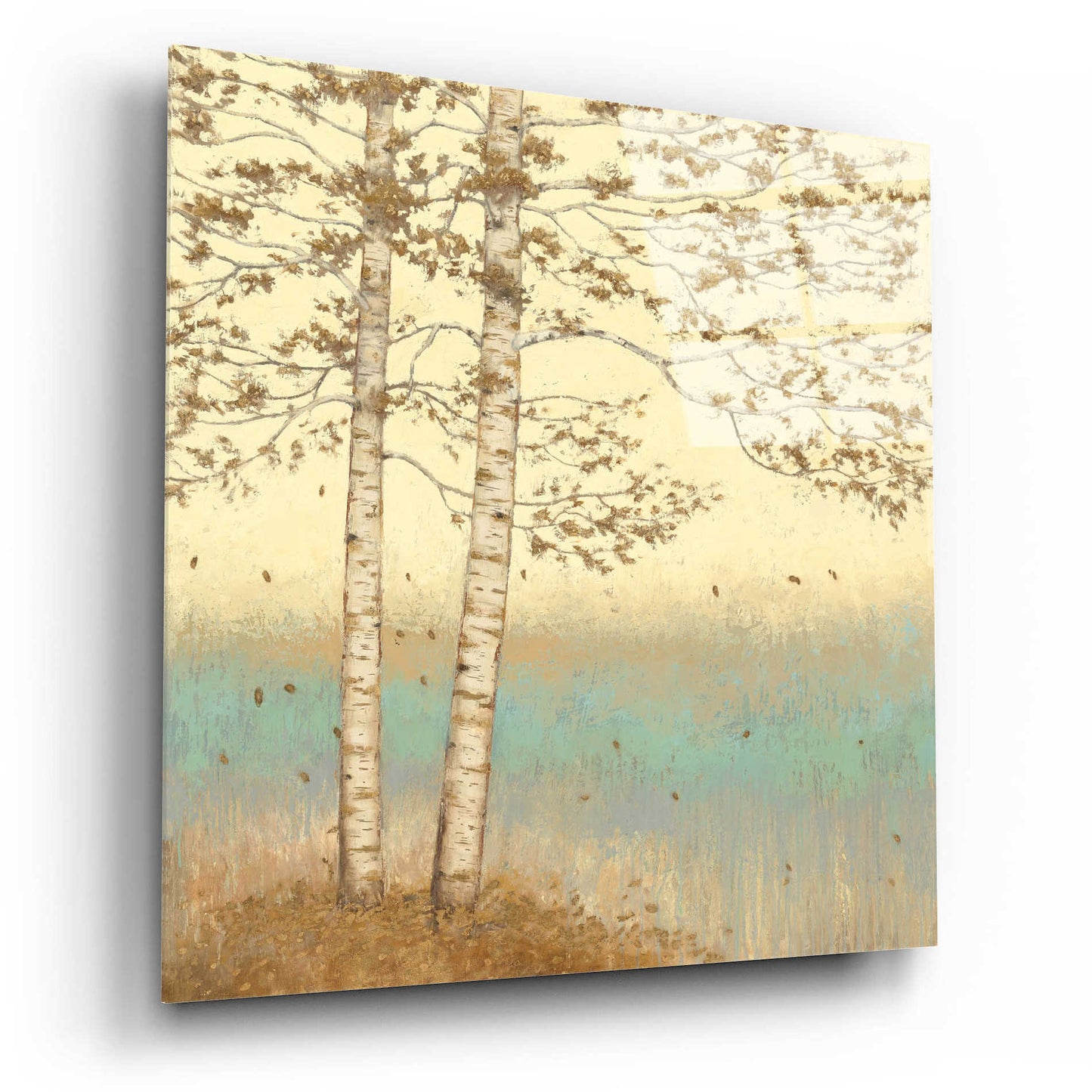 Epic Art 'Golden Birch I' by James Wiens, Acrylic Glass Wall Art,12x12