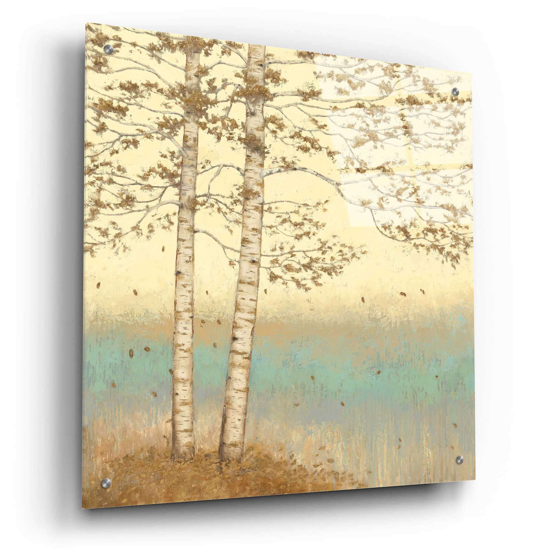 Epic Art 'Golden Birch I' by James Wiens, Acrylic Glass Wall Art,24x24