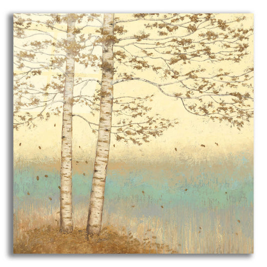 Epic Art 'Golden Birch I' by James Wiens, Acrylic Glass Wall Art,12x12x1.1x0,18x18x1.1x0,26x26x1.74x0,37x37x1.74x0