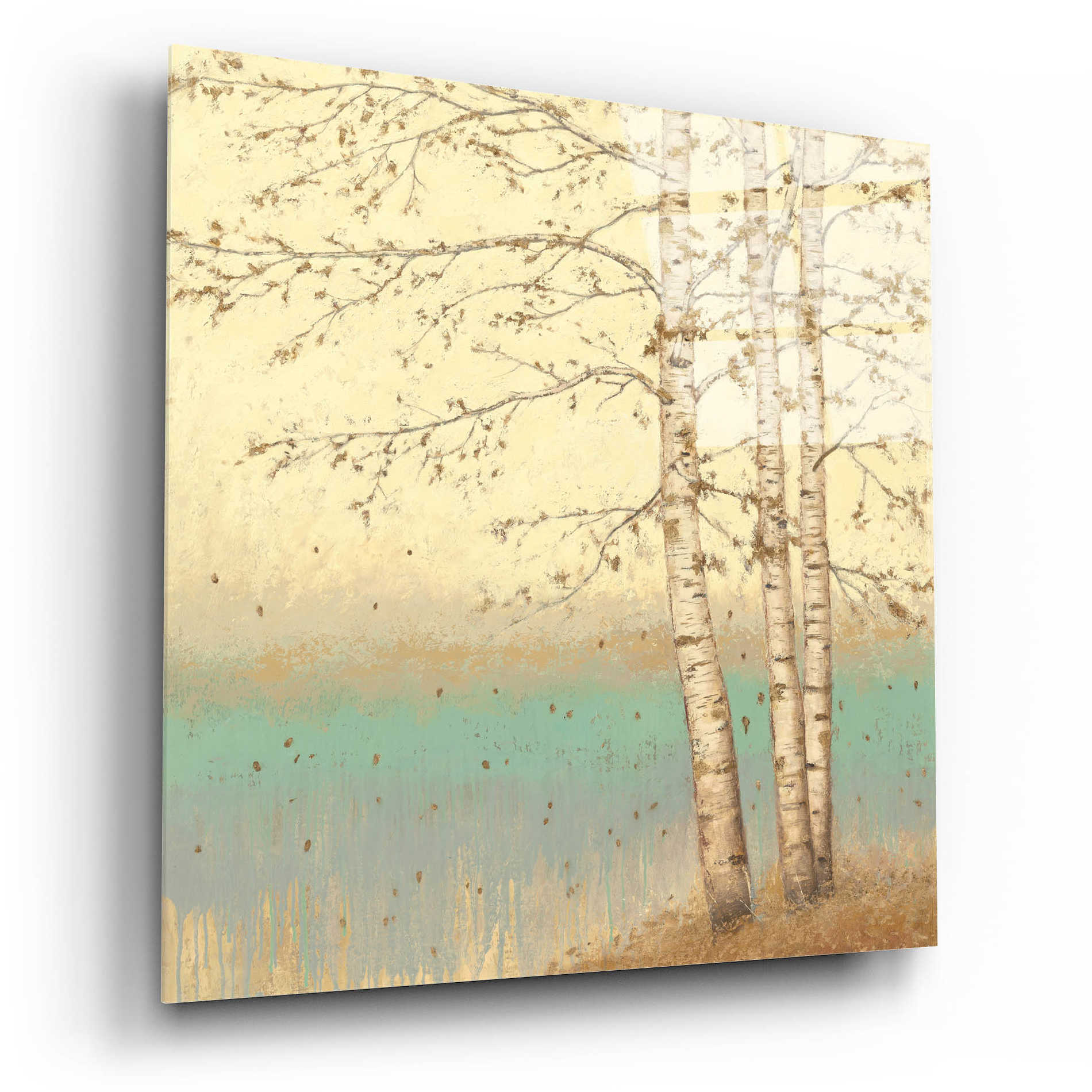 Epic Art 'Golden Birch II' by James Wiens, Acrylic Glass Wall Art,12x12