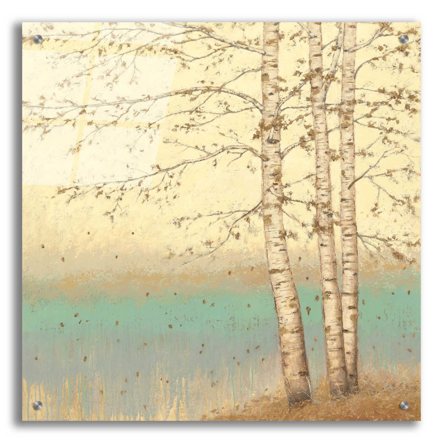 Epic Art 'Golden Birch II' by James Wiens, Acrylic Glass Wall Art,24x24