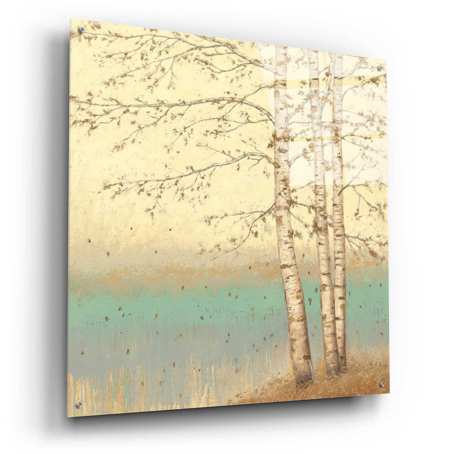 Epic Art 'Golden Birch II' by James Wiens, Acrylic Glass Wall Art,36x36