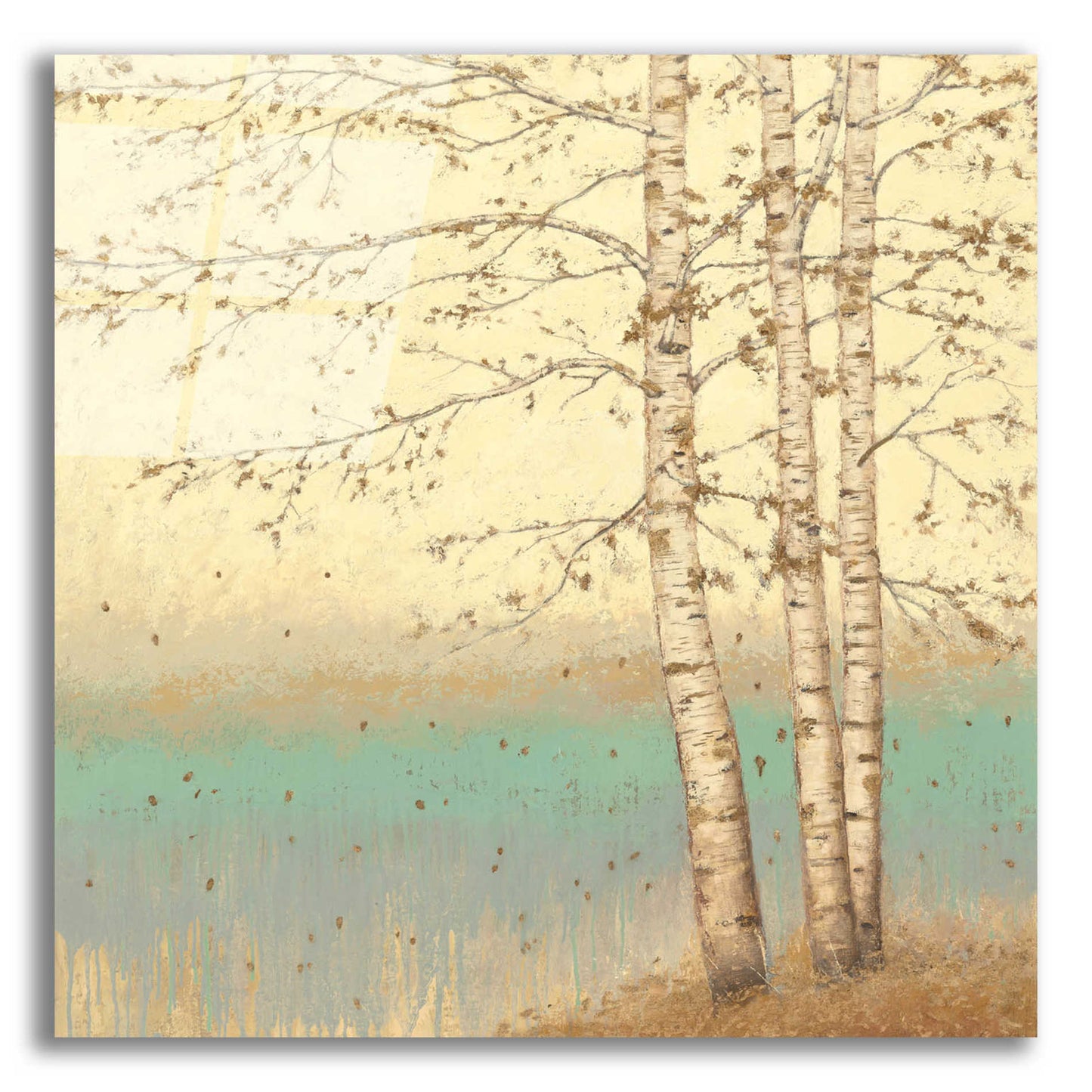 Epic Art 'Golden Birch II' by James Wiens, Acrylic Glass Wall Art,12x12x1.1x0,18x18x1.1x0,26x26x1.74x0,37x37x1.74x0