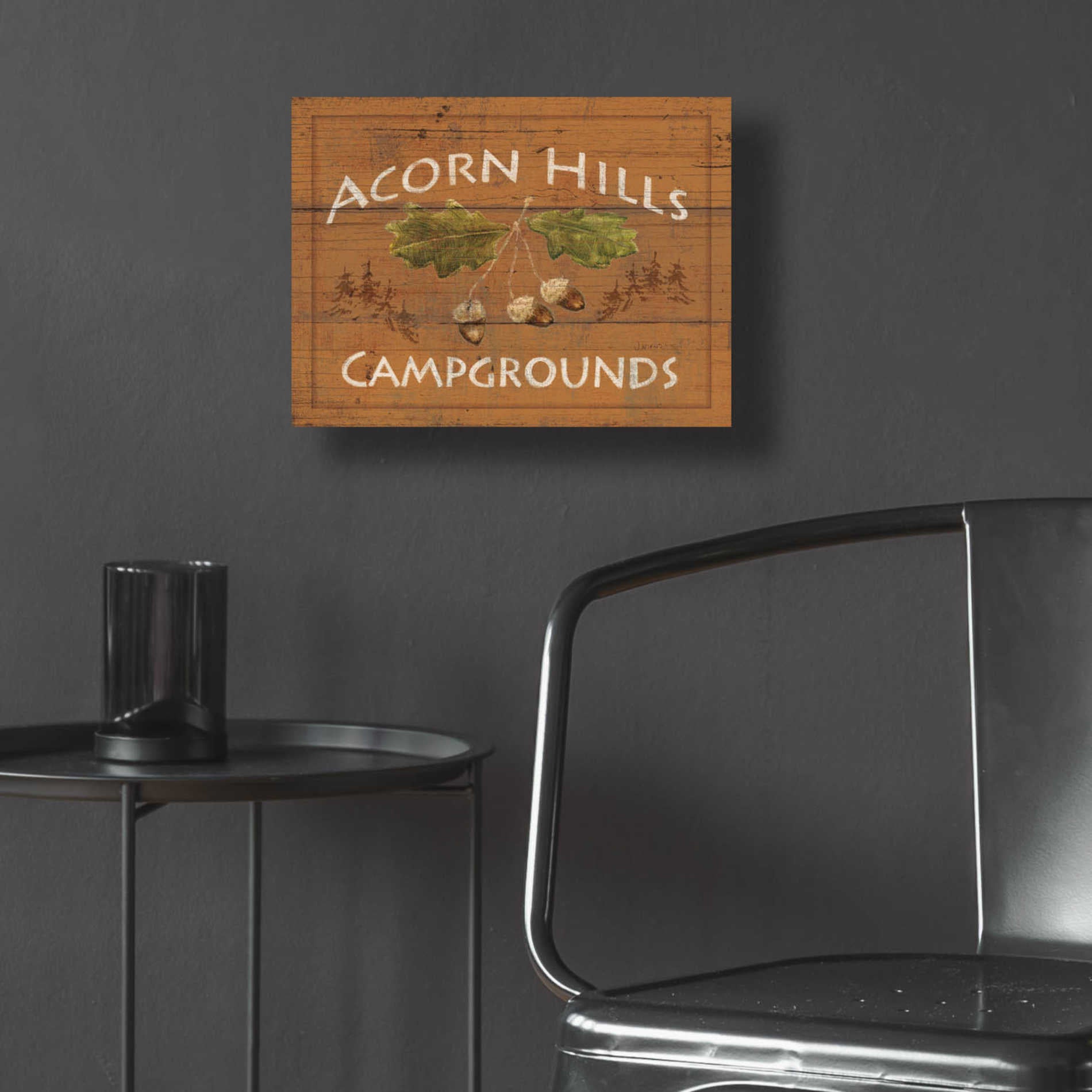 Epic Art 'Lodge Signs I' by James Wiens, Acrylic Glass Wall Art,16x12