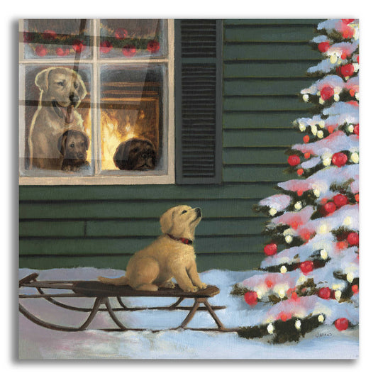 Epic Art 'Make a Wish' by James Wiens, Acrylic Glass Wall Art,12x12x1.1x0,18x18x1.1x0,26x26x1.74x0,37x37x1.74x0