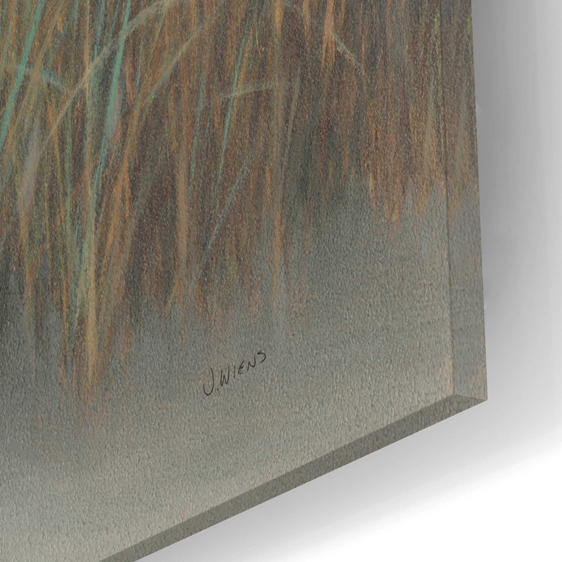 Epic Art 'Beach Trail I' by James Wiens, Acrylic Glass Wall Art,16x12