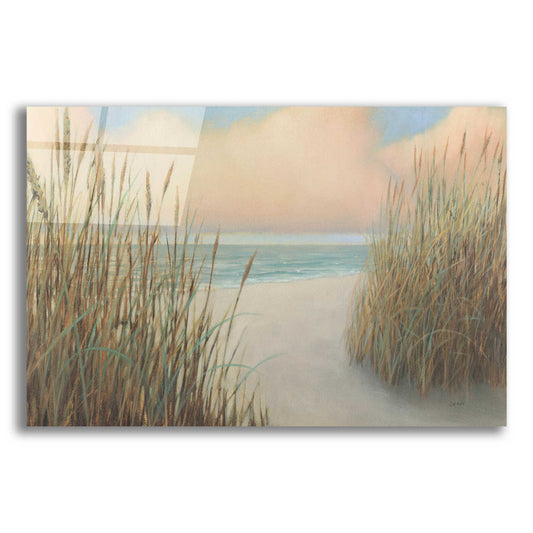 Epic Art 'Beach Trail I' by James Wiens, Acrylic Glass Wall Art,18x12x1.1x0,26x18x1.1x0,40x26x1.74x0,60x40x1.74x0