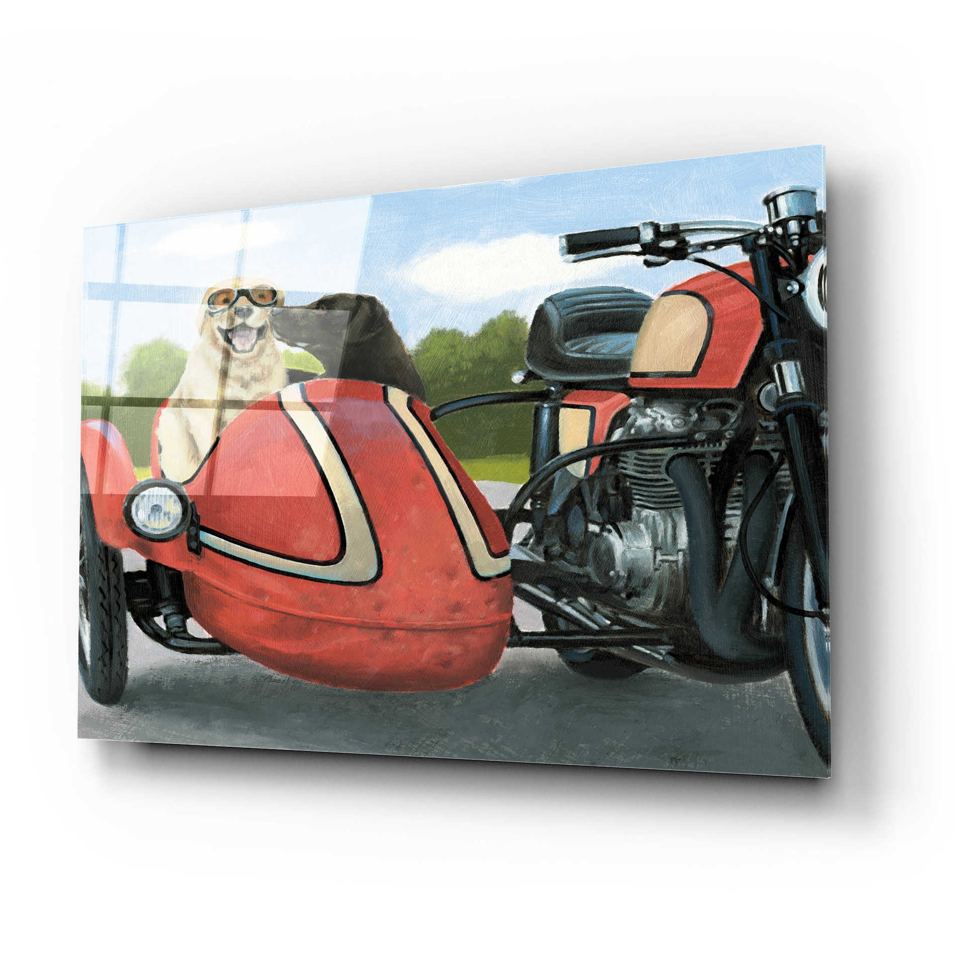 Epic Art 'Born to Be Wild Crop' by James Wiens, Acrylic Glass Wall Art,24x16