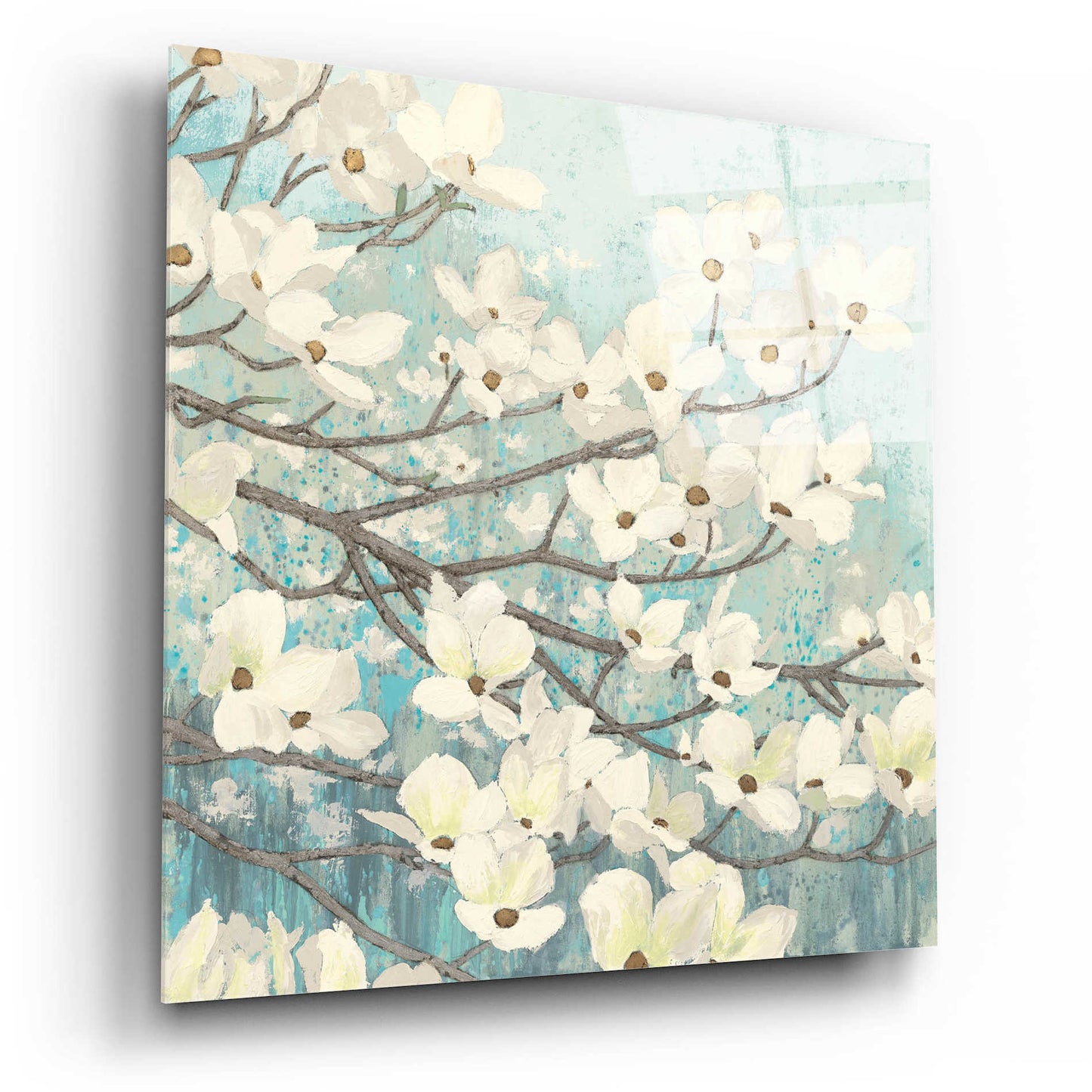 Epic Art 'Dogwood Blossoms' by James Wiens, Acrylic Glass Wall Art,12x12