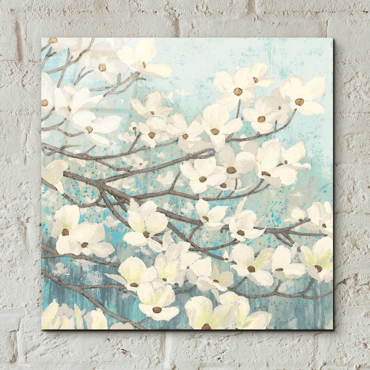 Epic Art 'Dogwood Blossoms' by James Wiens, Acrylic Glass Wall Art,12x12