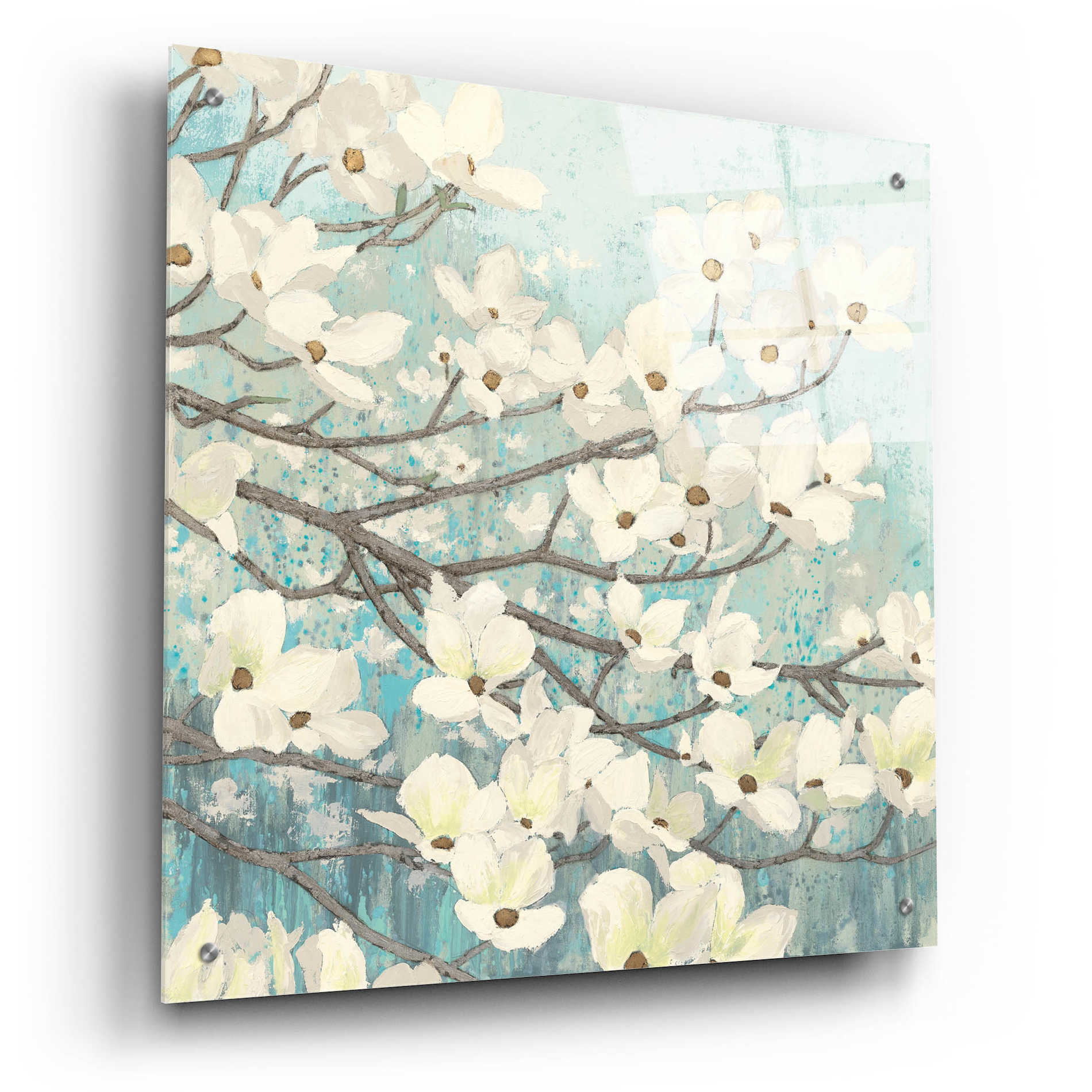 Epic Art 'Dogwood Blossoms' by James Wiens, Acrylic Glass Wall Art,24x24