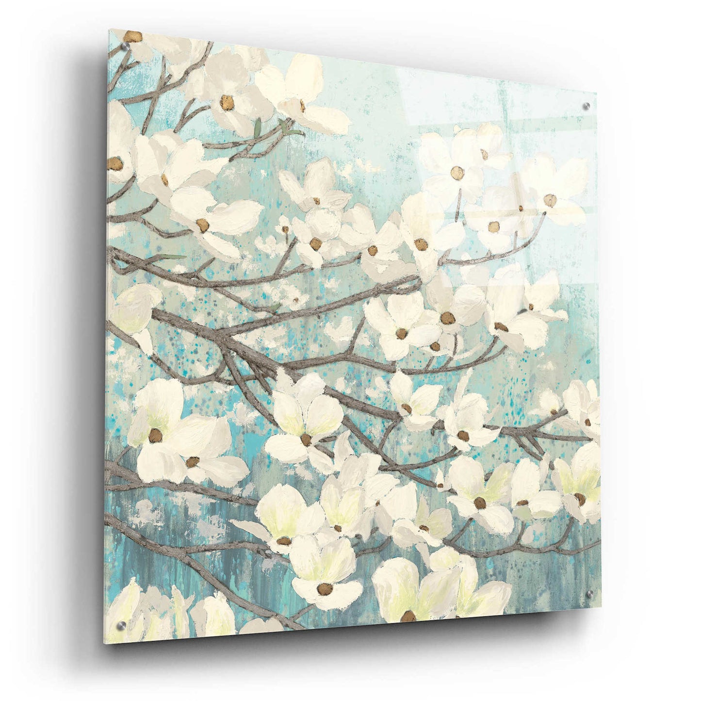 Epic Art 'Dogwood Blossoms' by James Wiens, Acrylic Glass Wall Art,36x36