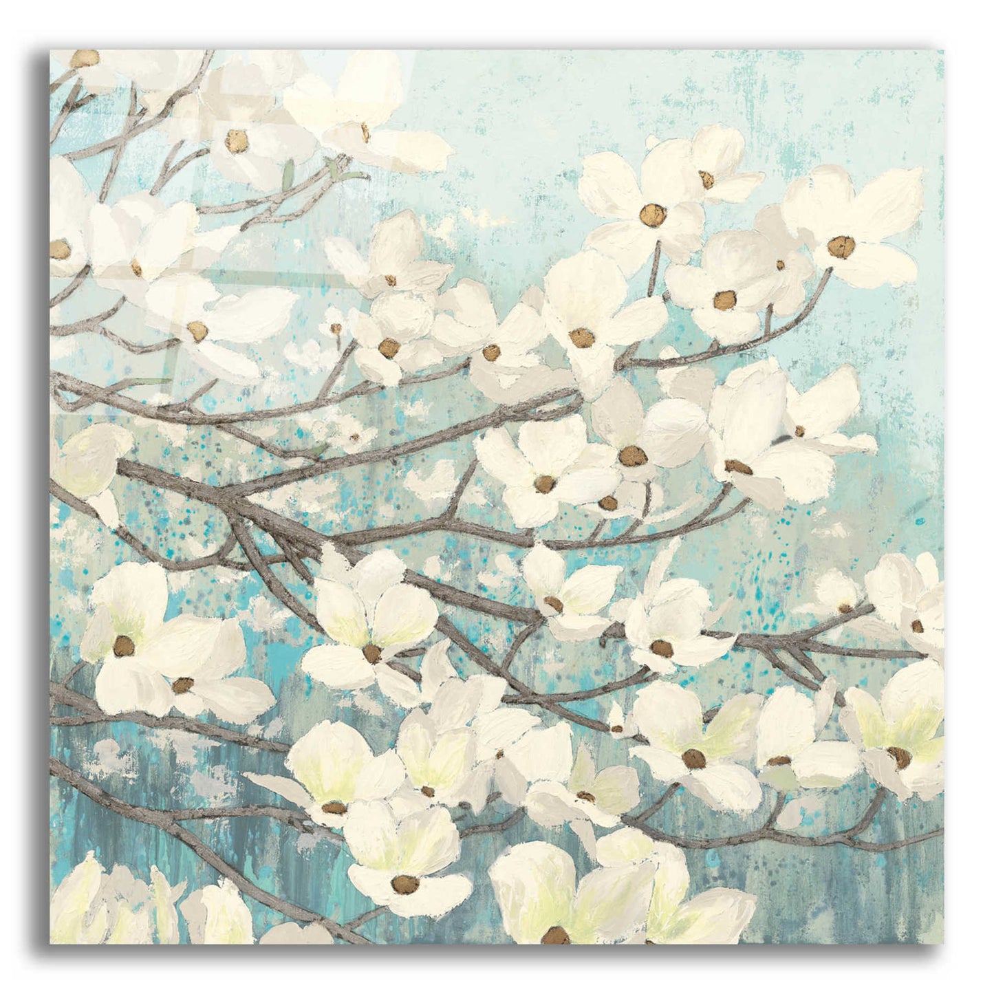 Epic Art 'Dogwood Blossoms' by James Wiens, Acrylic Glass Wall Art,12x12x1.1x0,18x18x1.1x0,26x26x1.74x0,37x37x1.74x0