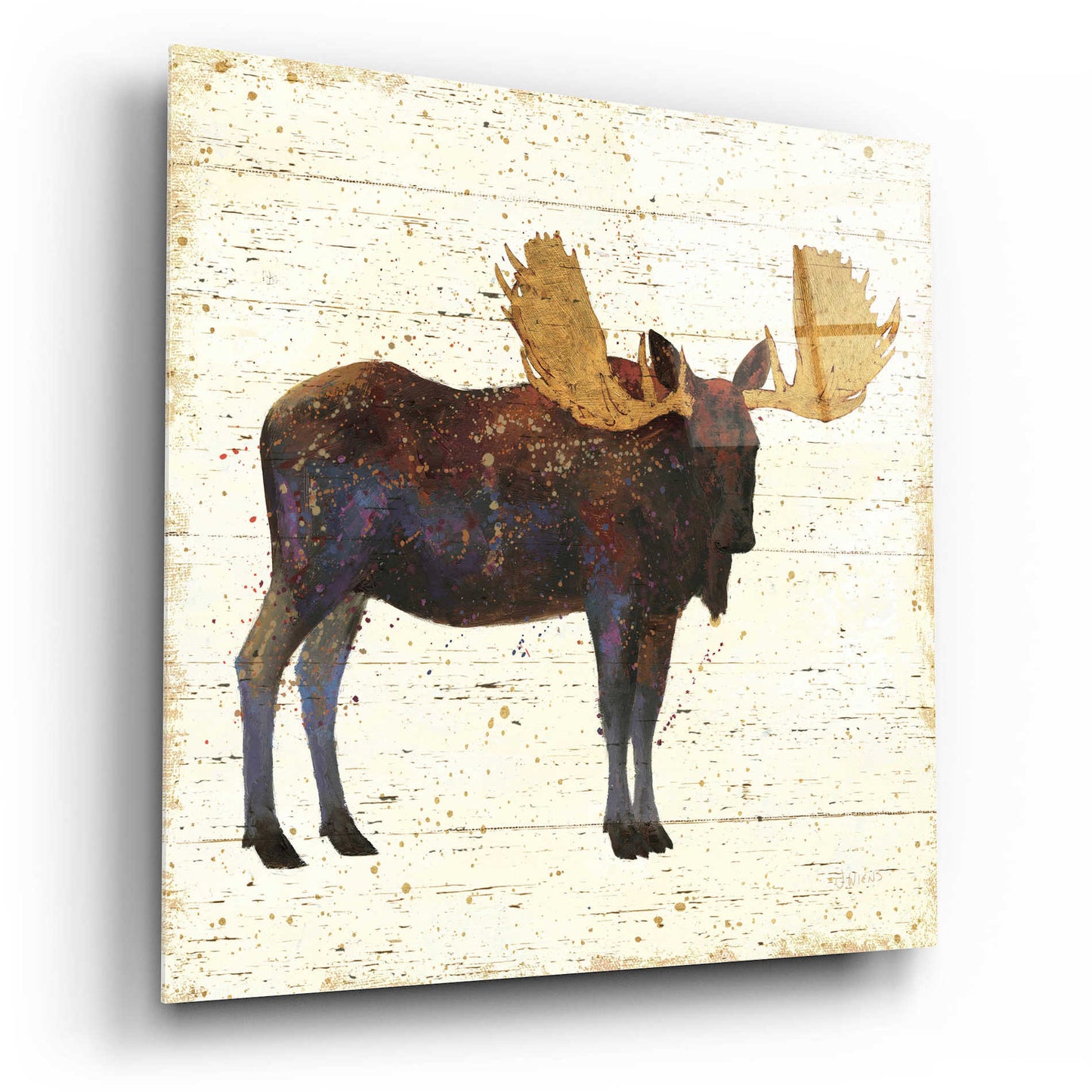 Epic Art 'Golden Nature I' by James Wiens, Acrylic Glass Wall Art,12x12